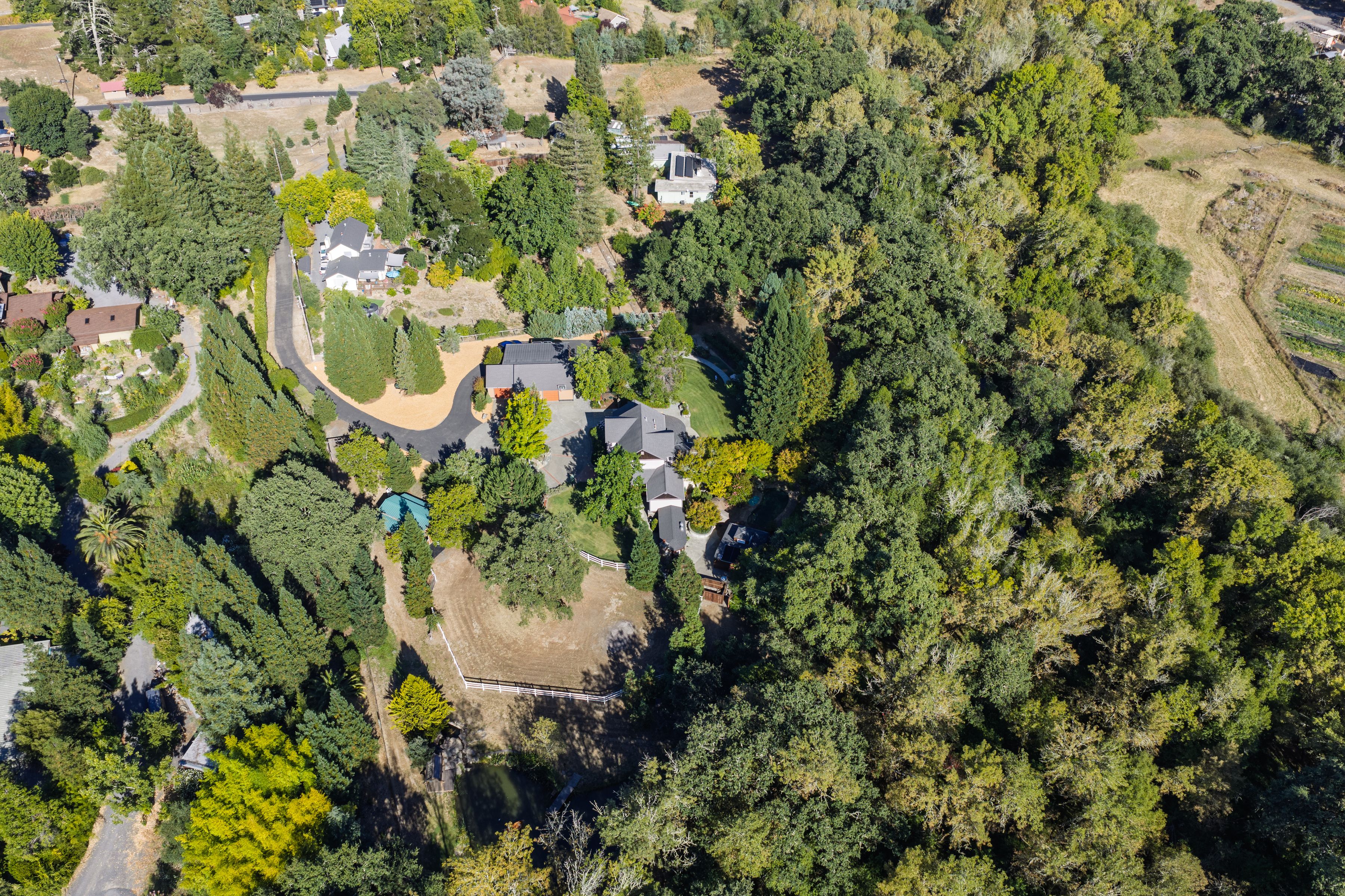  6501 Ellen Lane - 物件實景