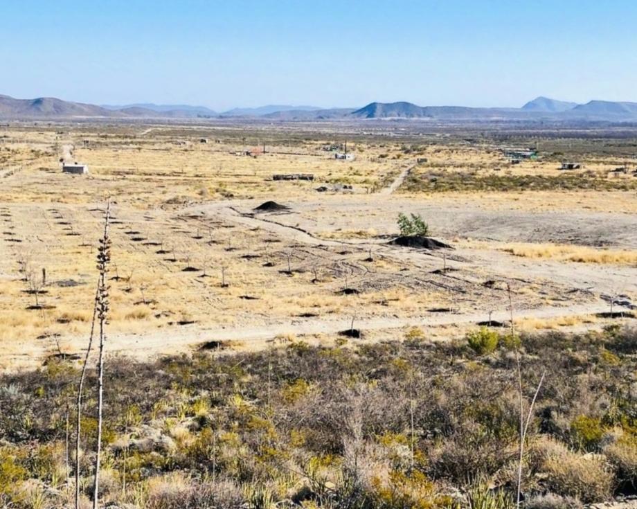 Parras, Coahuila de Zaragoza, 27986, Mexico, 1 Bedroom Bedrooms, ,Residential,For Sale,1699618