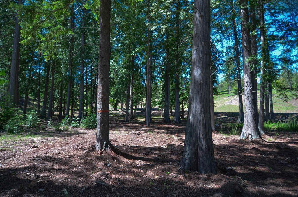 Sagle, Idaho, 83860, United States, ,Land,For Sale,1974286