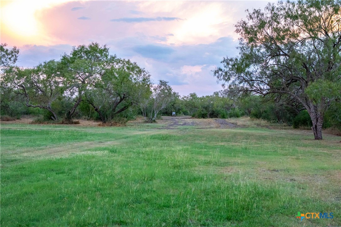 000 CR376, George West, Texas, 78022, United States, ,Land,For Sale,000 CR376,1676850