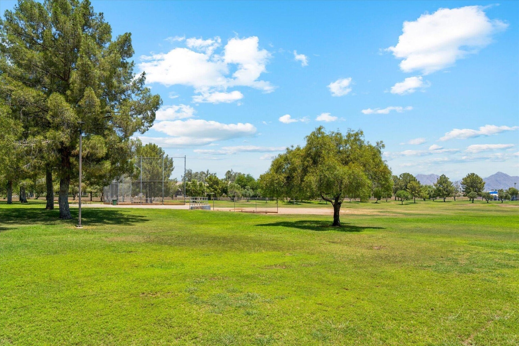  6737 E Evans Drive¦Scottsdale, AZ - 物件實景