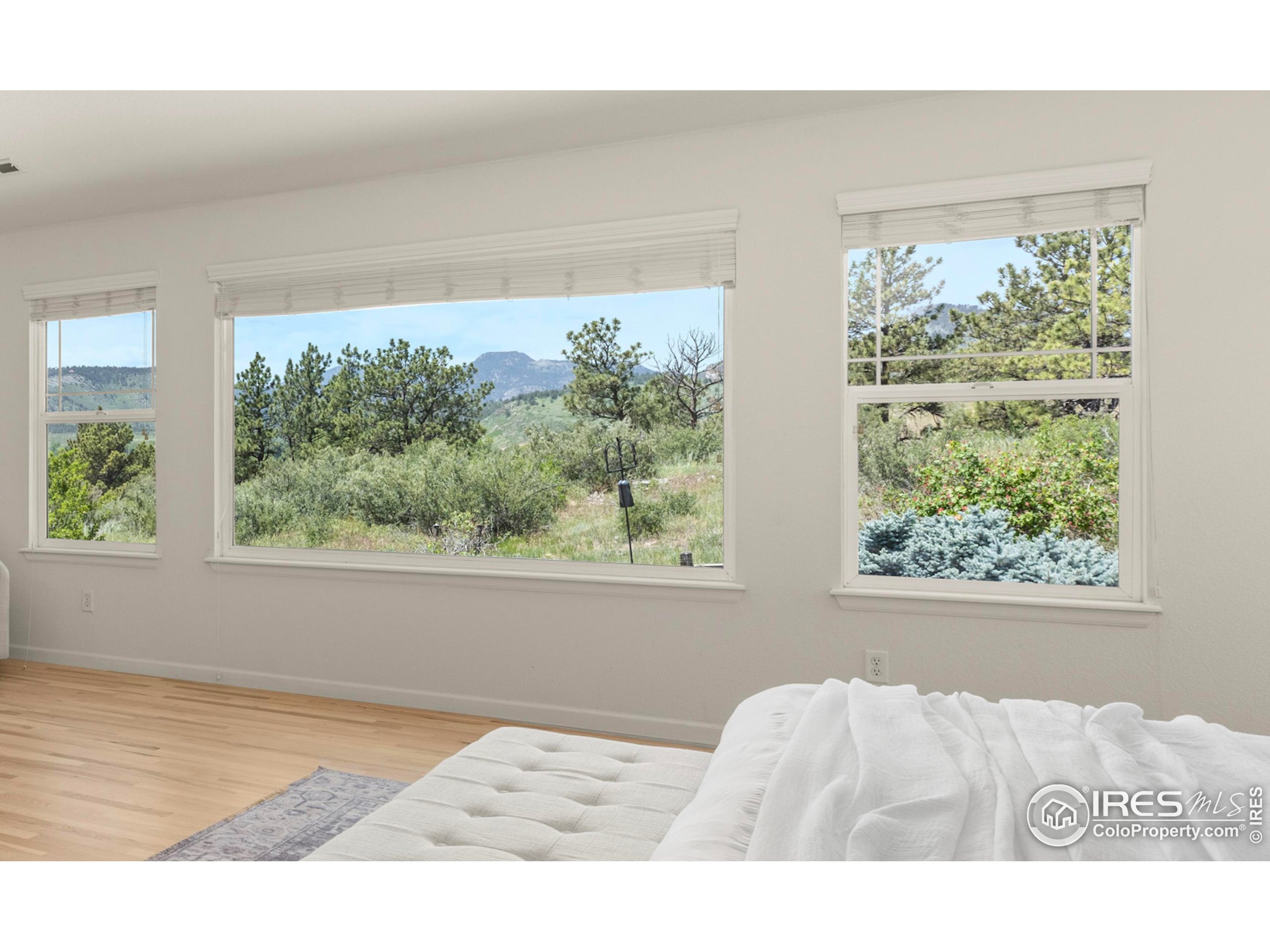 Lyons, Colorado, 80540, United States, 4 Bedrooms Bedrooms, ,3 BathroomsBathrooms,Residential,For Sale,1865994