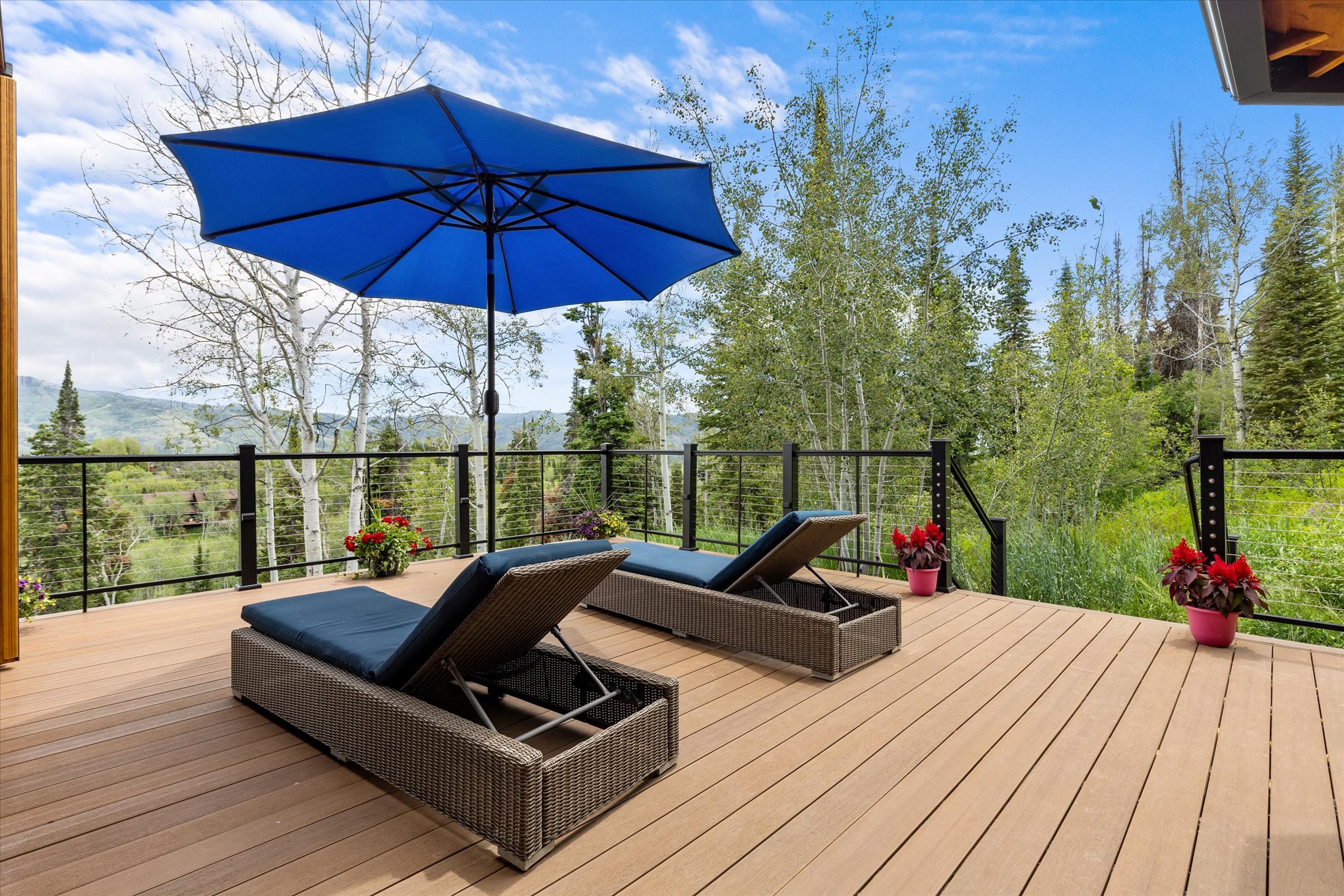  30232 Bear Trail, Steamboat Springs, CO 80487 - 物件實景