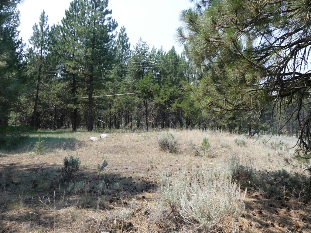 McCall, Idaho, 83638, United States, ,Land,For Sale,2005964