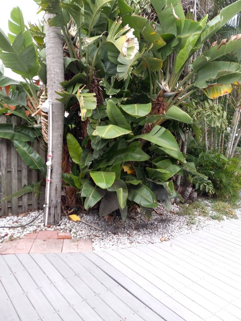 Madeira Beach, Florida, 33708, United States, 2 Bedrooms Bedrooms, ,2 BathroomsBathrooms,Residential,For Sale,1921616