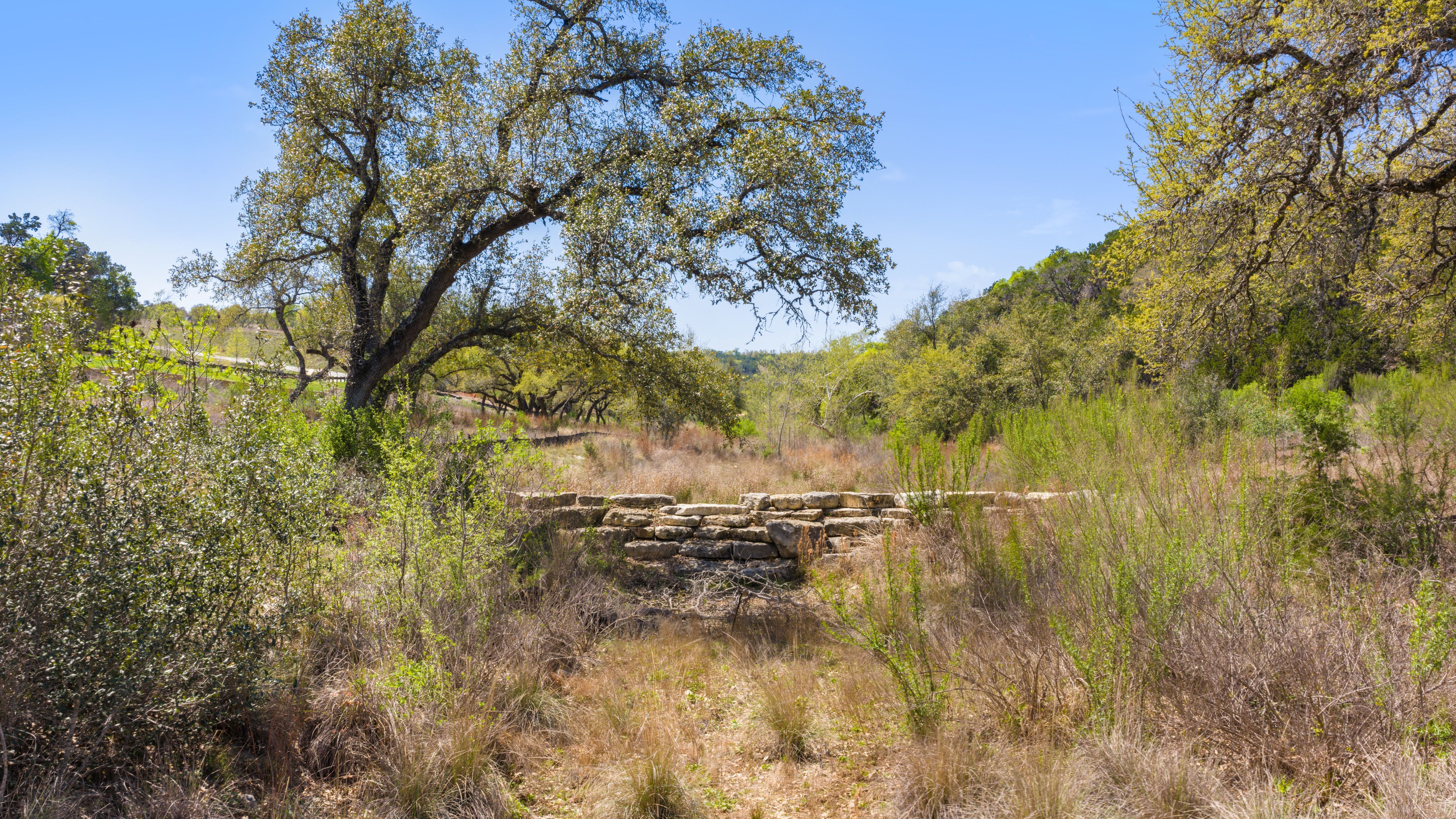  The Crest of Preservation Ranch - 物件實景
