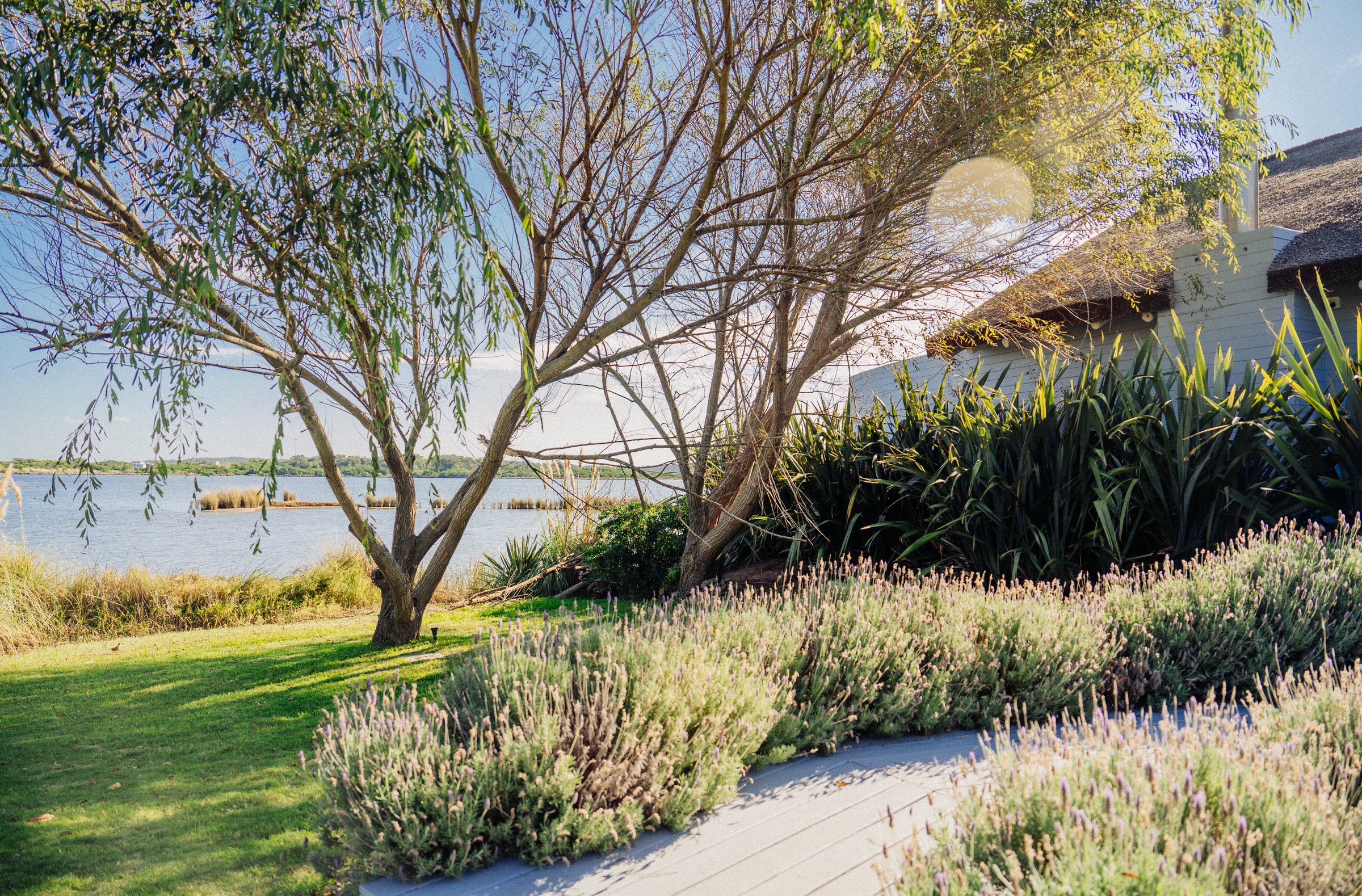  Dream house in Laguna José Ignacio - 物件實景