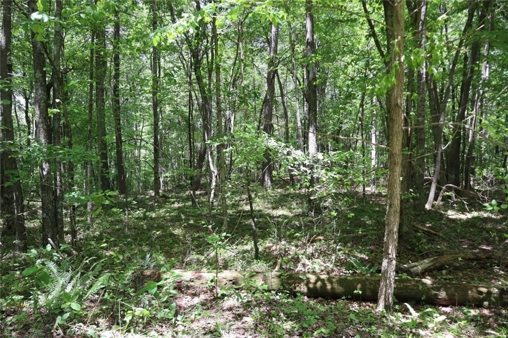 Ellijay, Georgia, 30540, United States, ,Land,For Sale,1979935