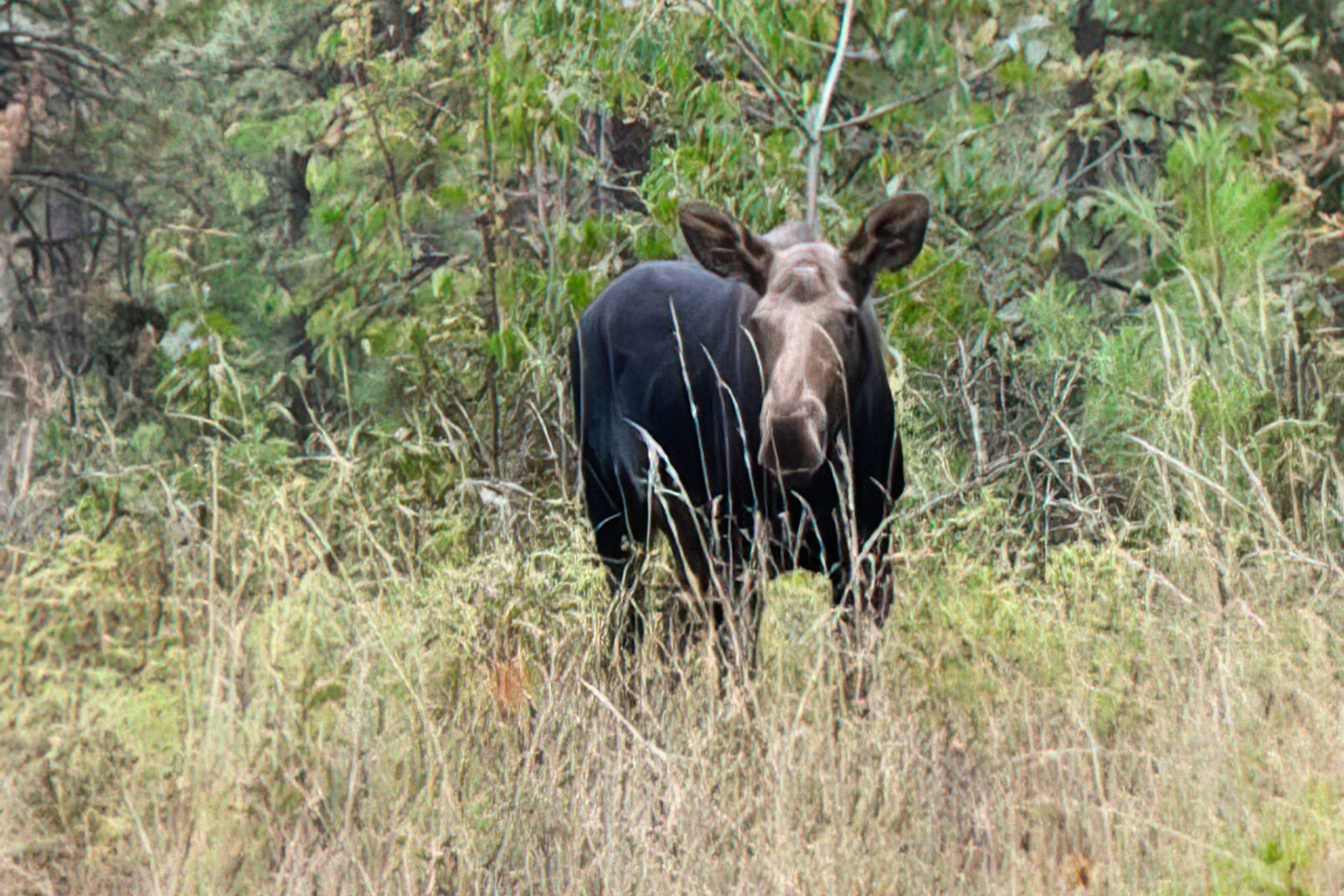  Captivating Lake View Beauty - 物件實景