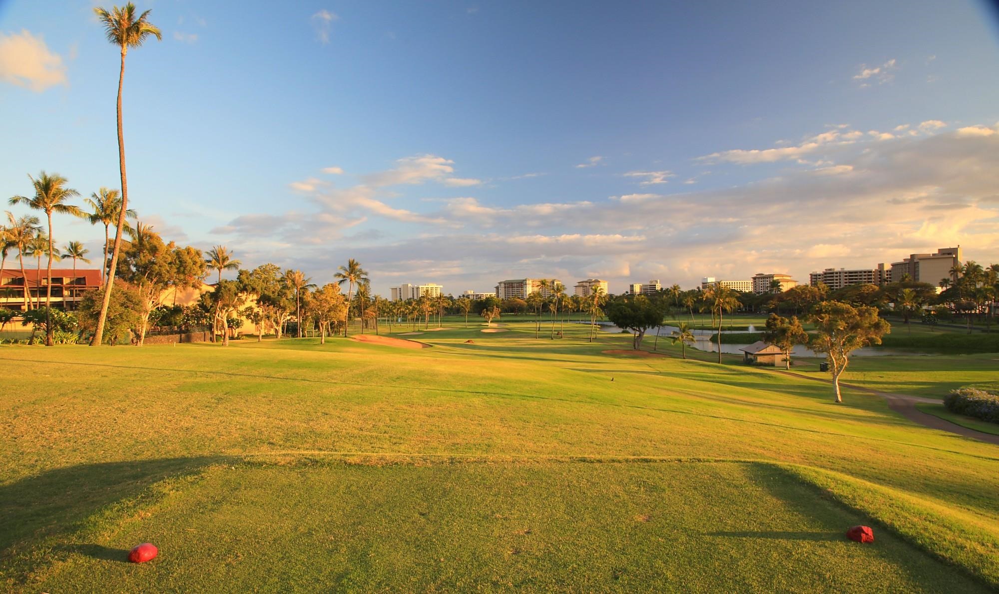 Lahaina, Hawaii, 96761, United States, ,Land,For Sale,1895971