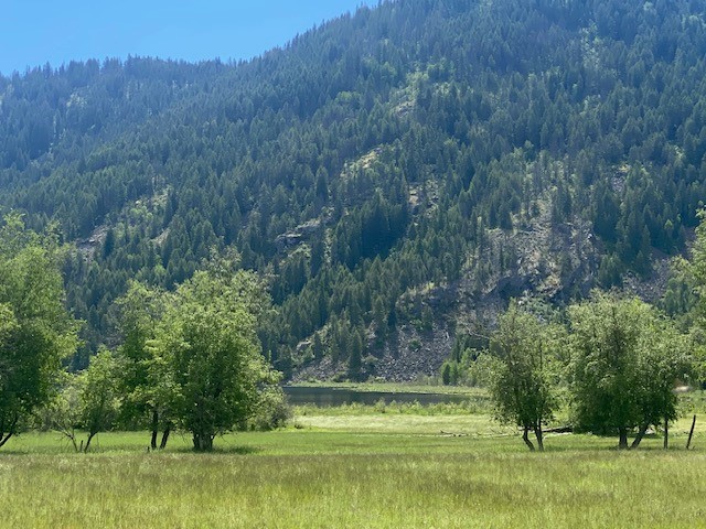 Priest River, Idaho, 83856, United States, ,Land,For Sale,1983206