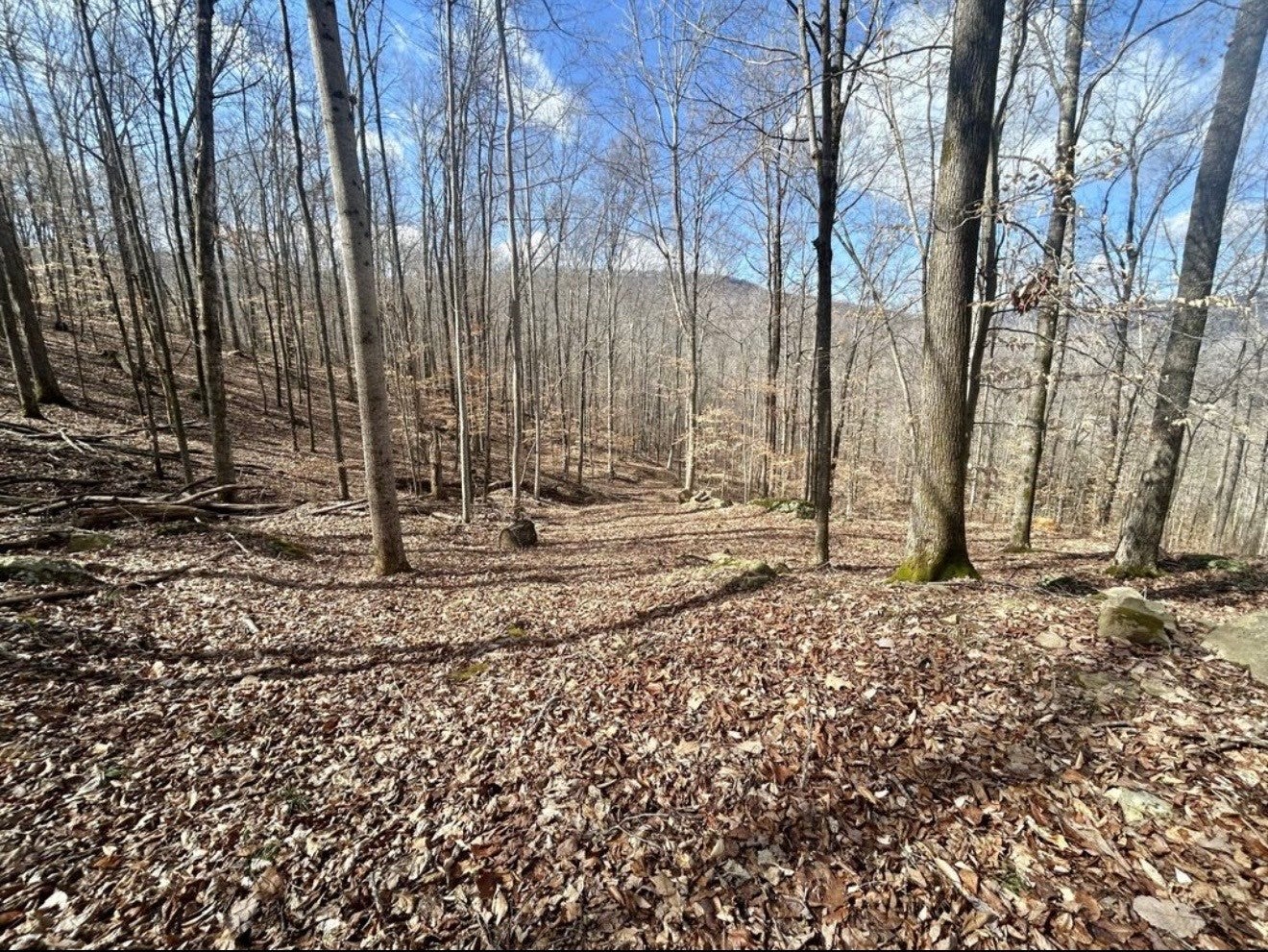 Rocky River Rd, Rock Island, TN 38581 #1