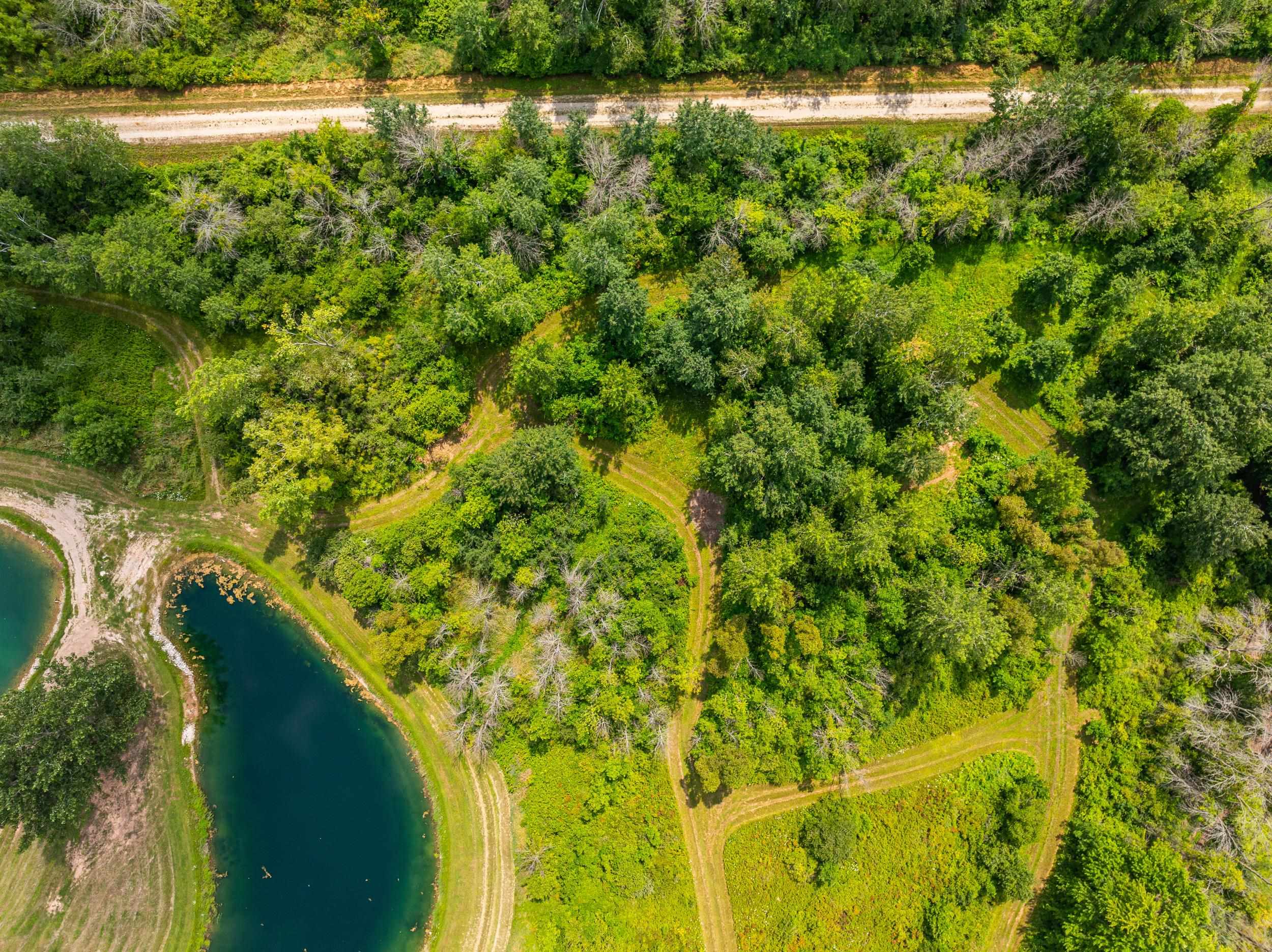 Black Creek, Wisconsin, 54106, United States, ,Residential,For Sale,1937063