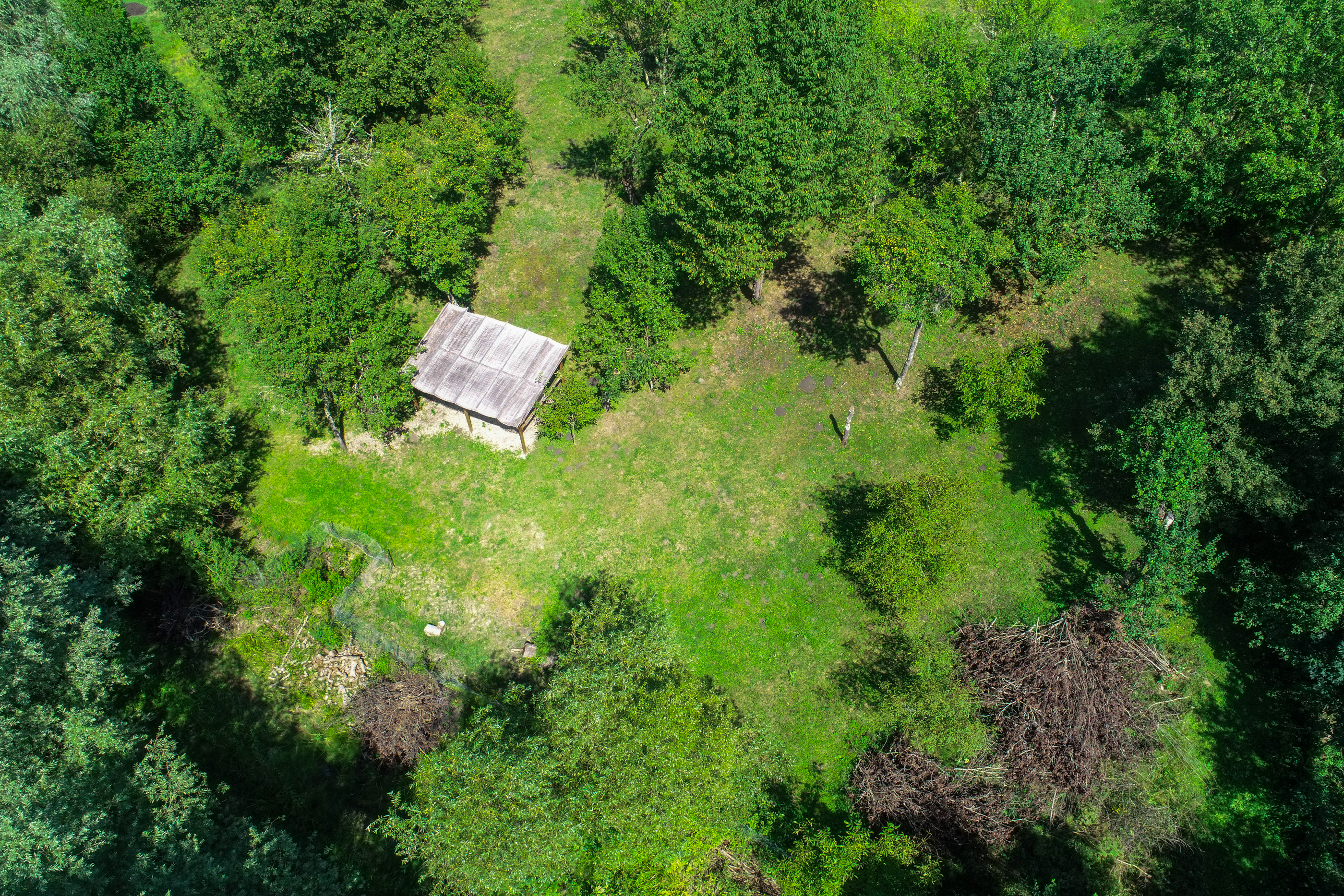  Restored Authentic Saxon House in Viscri, Between Heritage and Nature - 物件實景