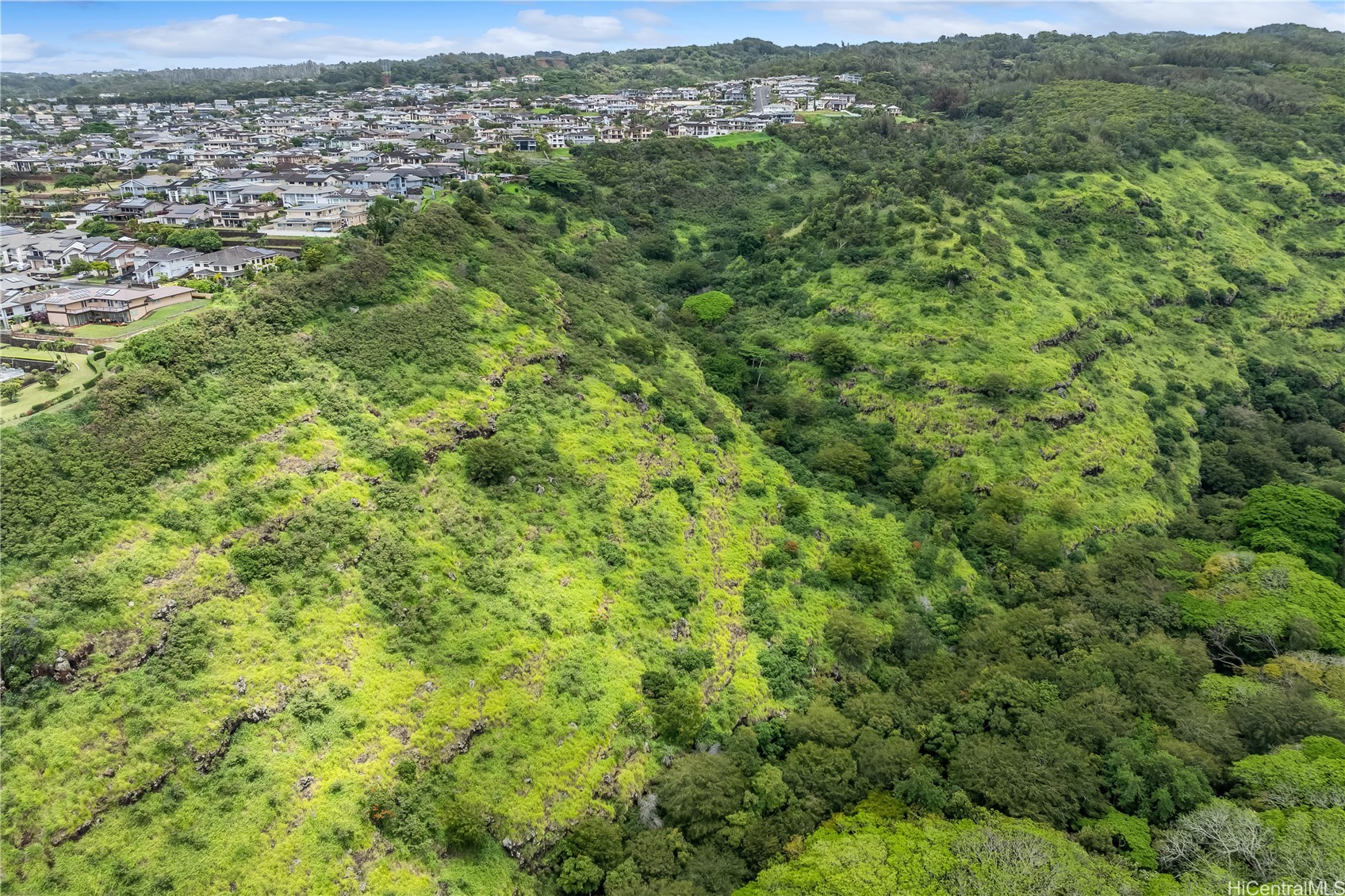 Aiea, Hawaii, 96701, United States, ,Land,For Sale,1987788