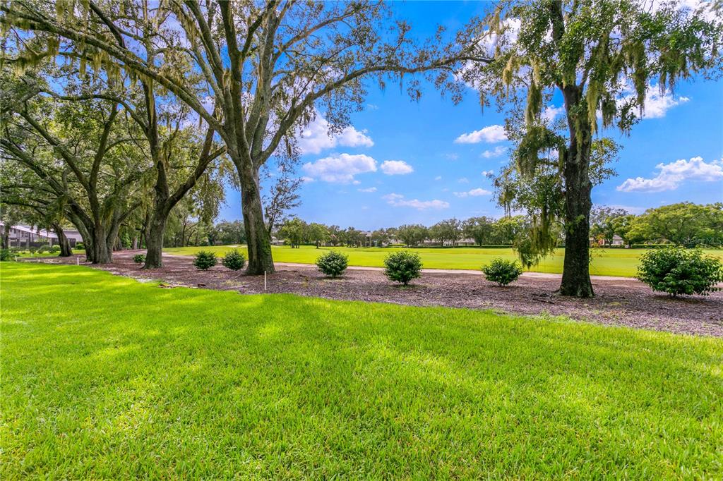 Tampa, Florida, 33613, United States, 7 Bedrooms Bedrooms, ,8 BathroomsBathrooms,Residential,For Sale,1979226