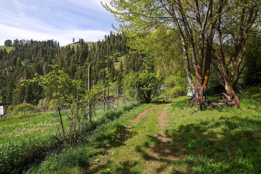 Riggins, Idaho, 83549, United States, 2 Bedrooms Bedrooms, ,1 BathroomBathrooms,Residential,For Sale,1825339