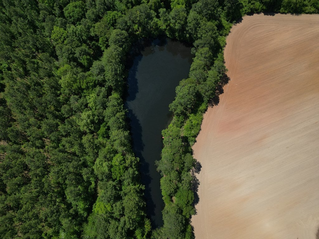 Cordele, Georgia, 31015, United States, ,Residential,For Sale,1982733