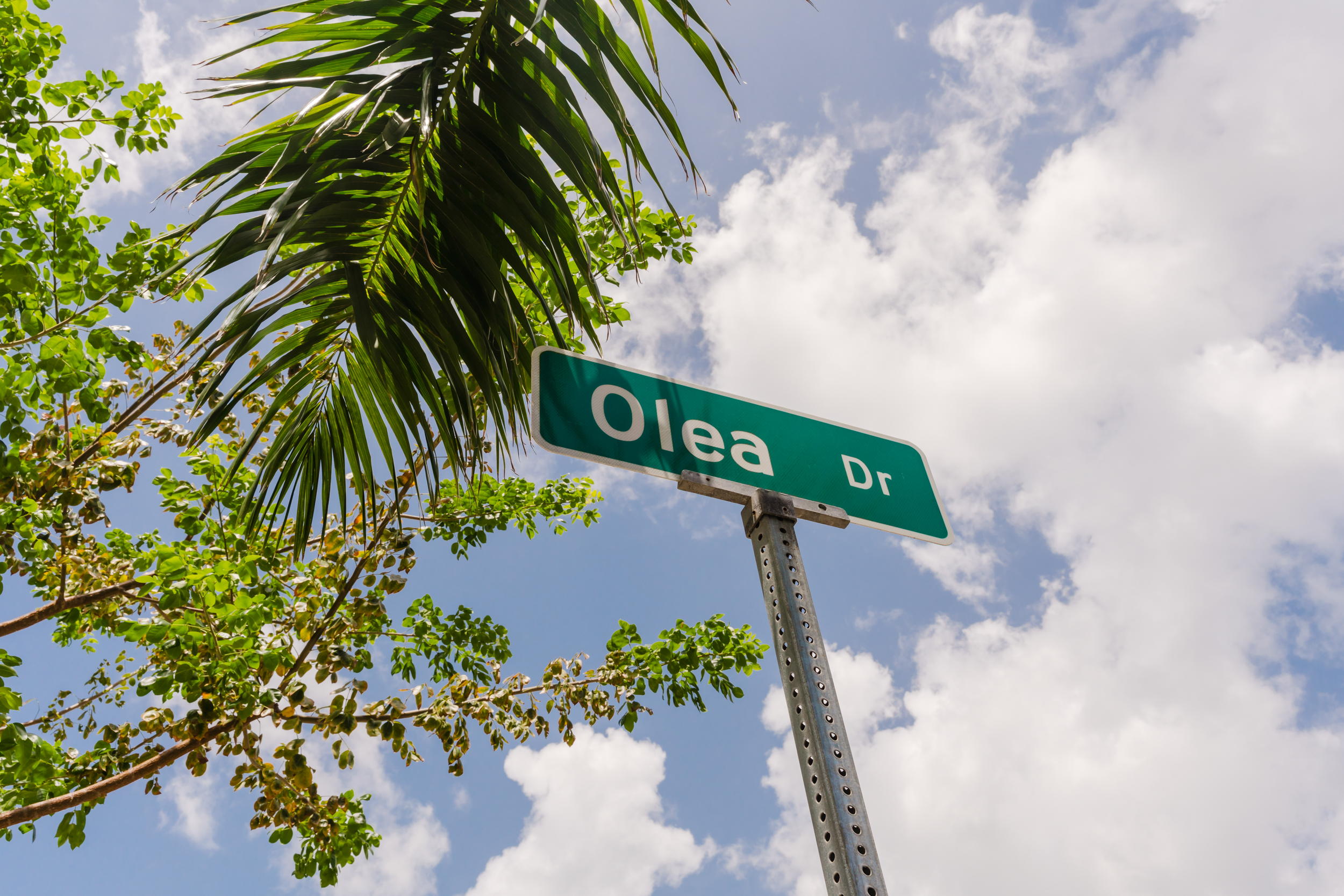  Olea 4 Bed Luxury Family Home/Duplex - 物件實景