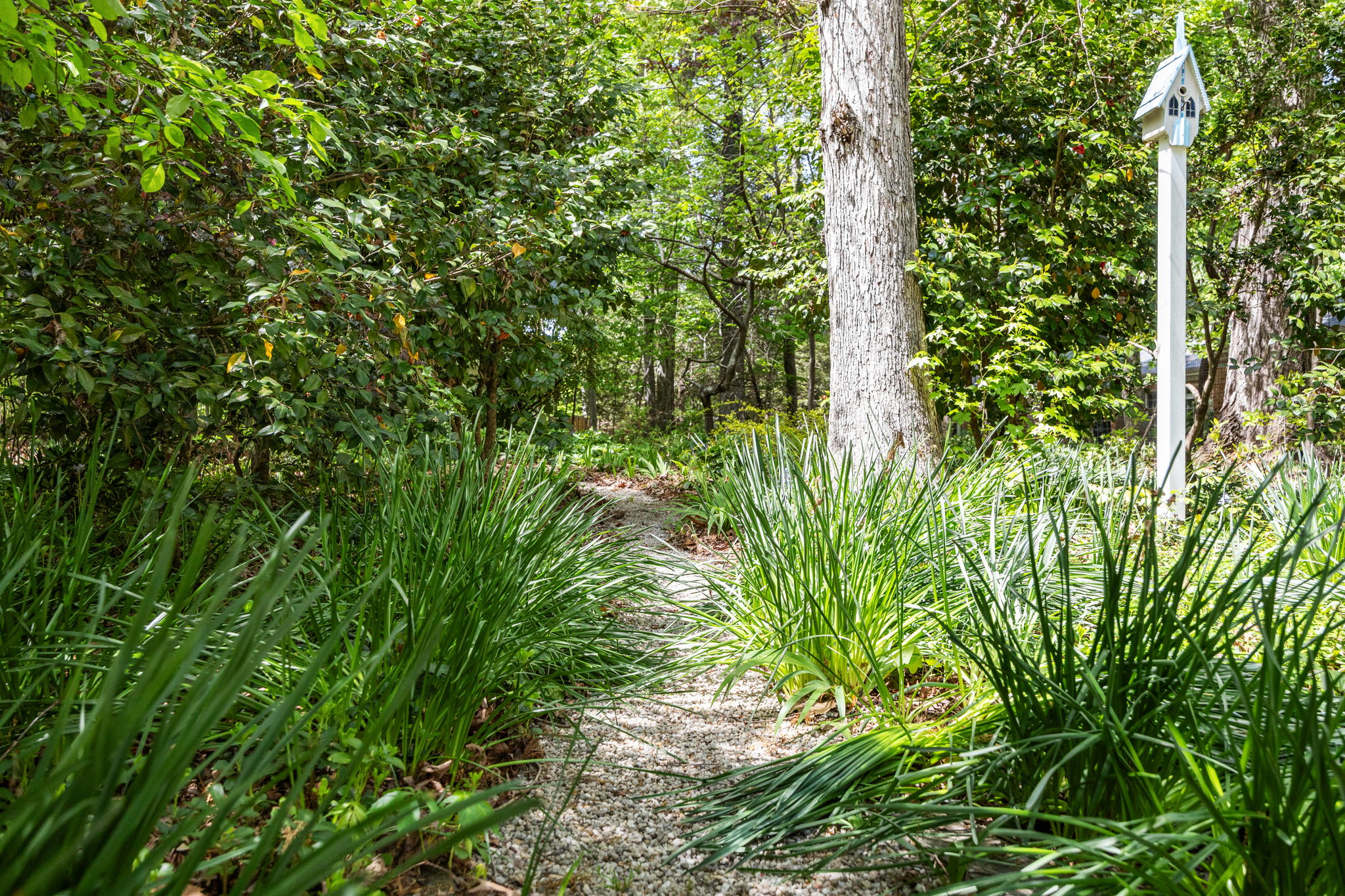  8 Sedgewood Road, Chapel Hill, NC 27514 - 物件實景