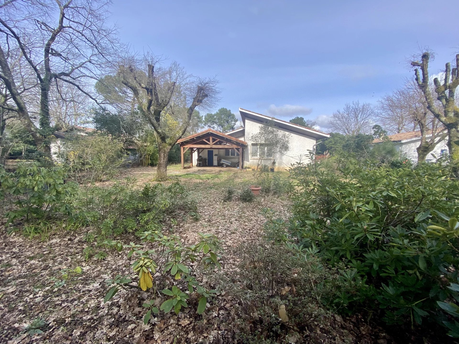 Lège-Cap-Ferret, New Aquitaine, 33950, FR, 3 Bedrooms Bedrooms, ,2 BathroomsBathrooms,Residential,For Sale,1483234