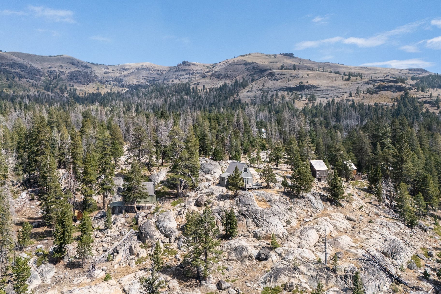  The Juniper Cabin: A Wild Invitation to See the World Differently - 物件實景