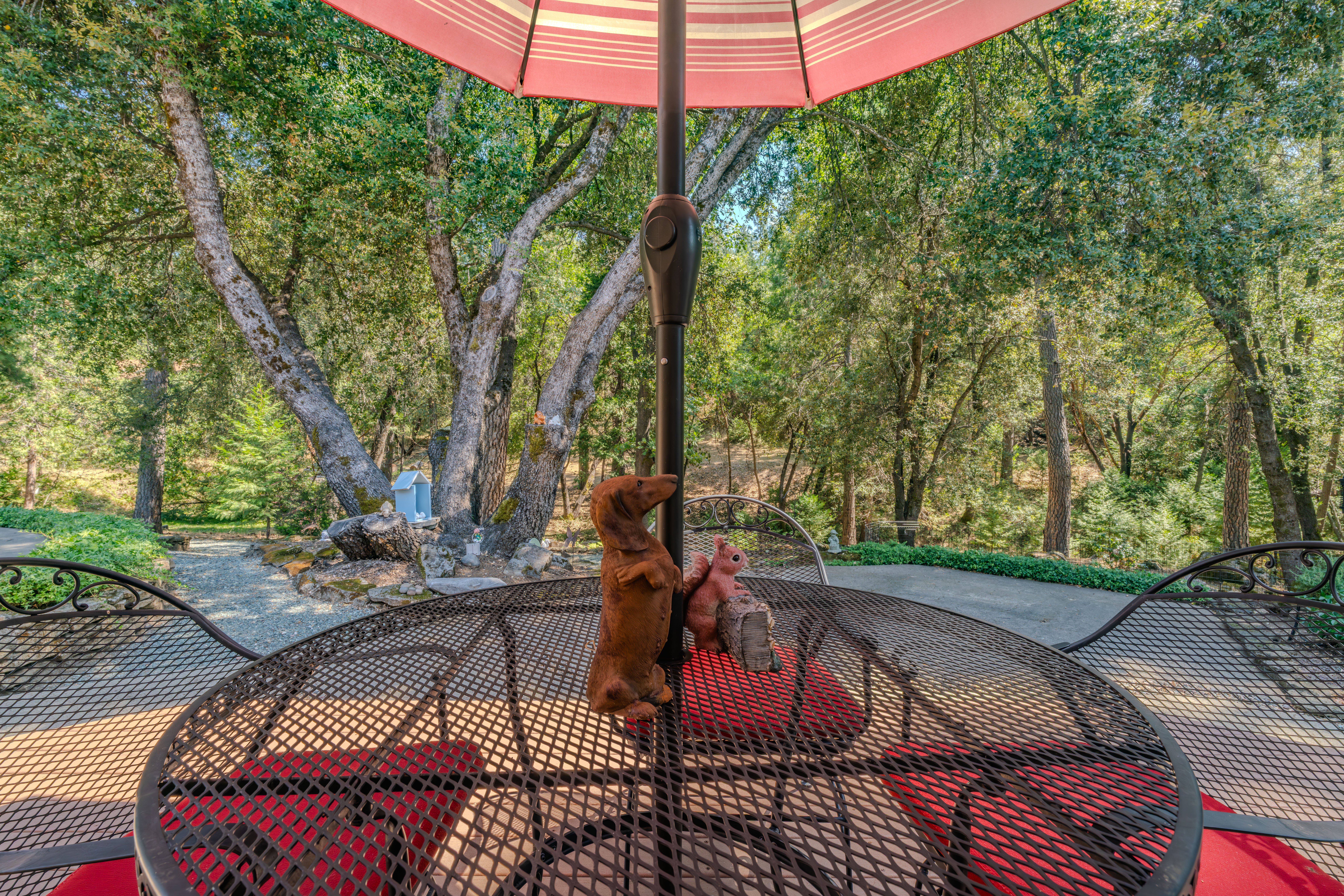  22590 Rocky Lane, Pioneer, CA 95666 - 物件實景