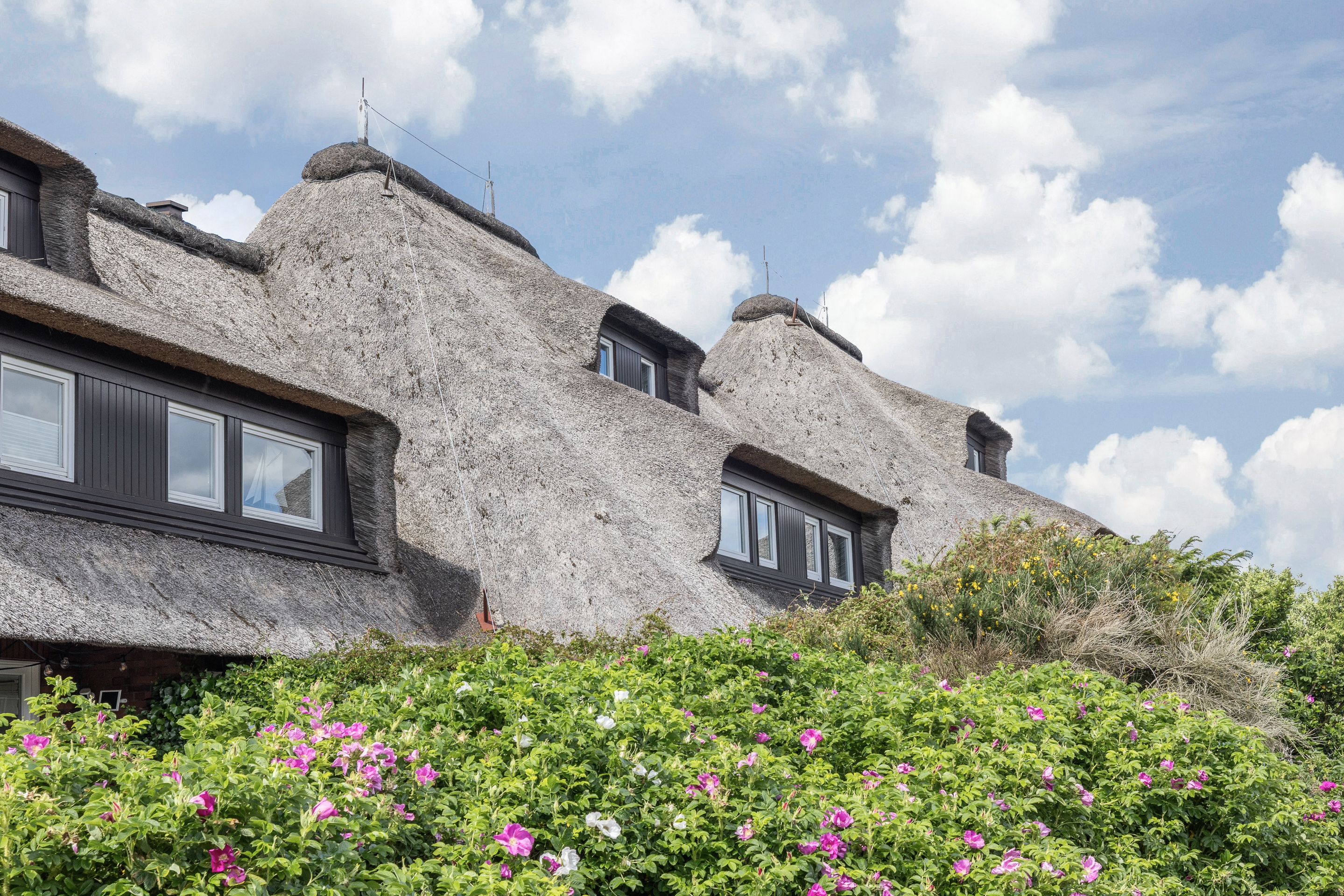  Kleines Inselrefugium unter Reet – charmante Dachgeschosswohnung in begehrter... - 物件實景