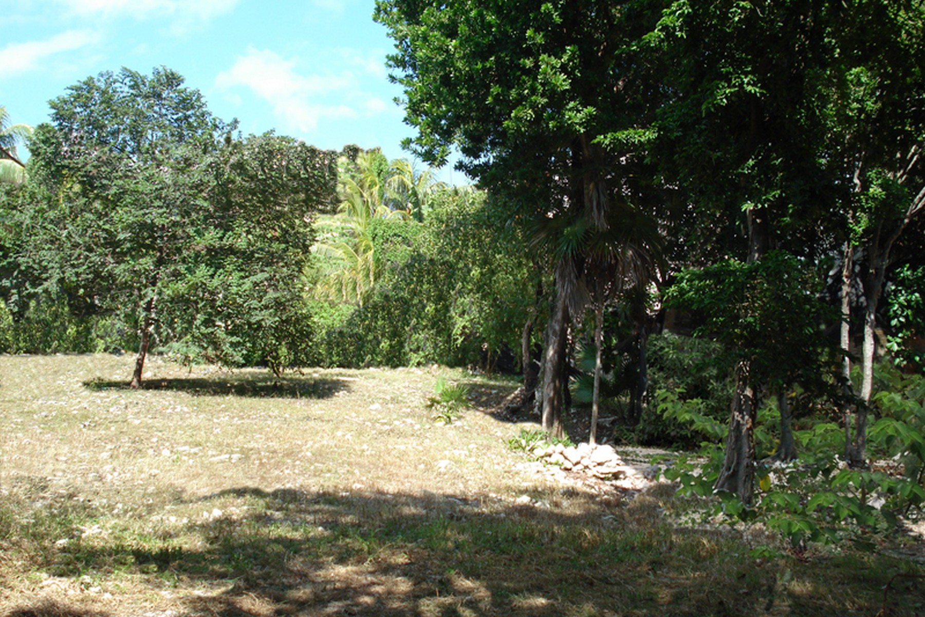  DEVELOPMENT PARCEL IN PREMIUM LOCATION IN DOWNTOWN STEPS FROM THE BEACH - 物件實景