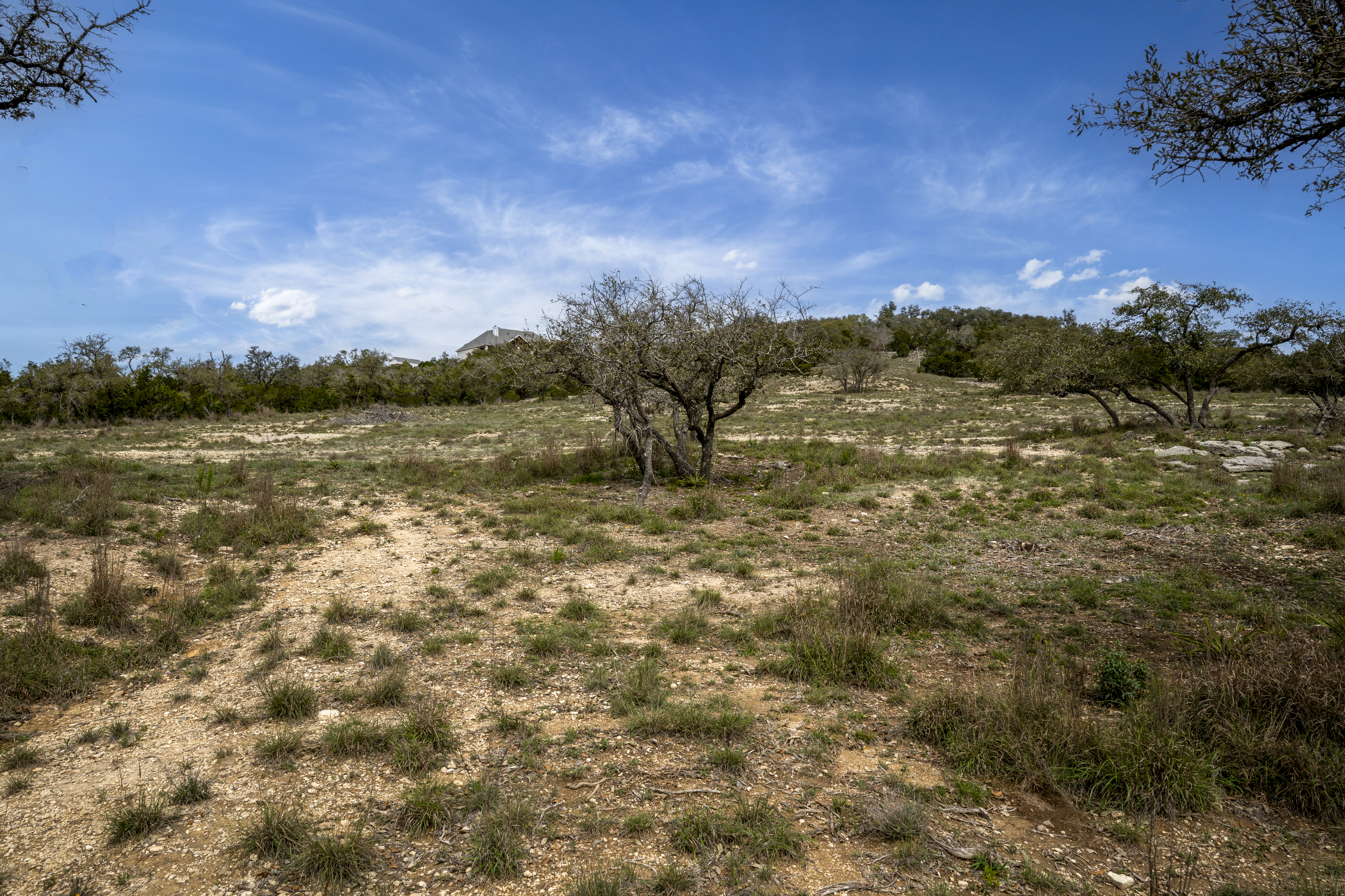  Lot 66 Majestic Hills Drive, Blanco, TX 78606 - 物件實景