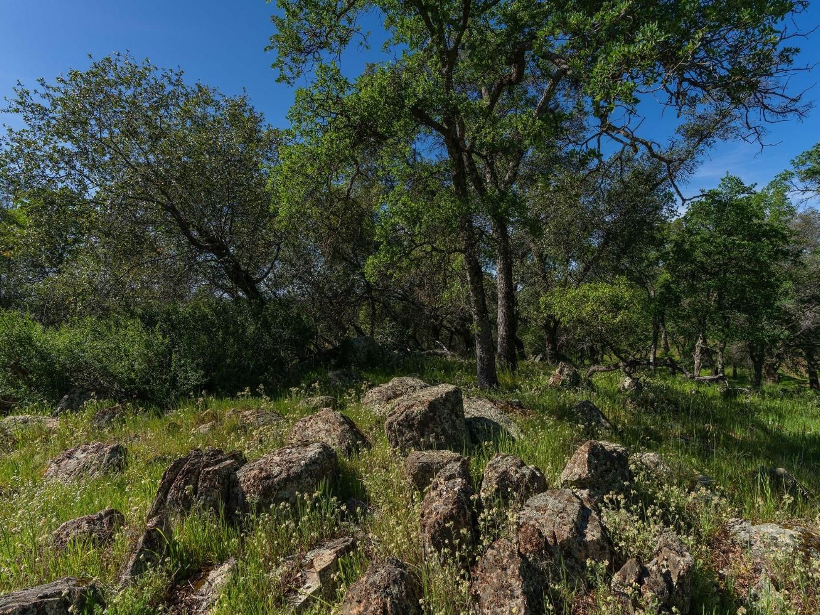  10865 Sunset Drive, Sutter Creek, CA 95685 - 物件實景