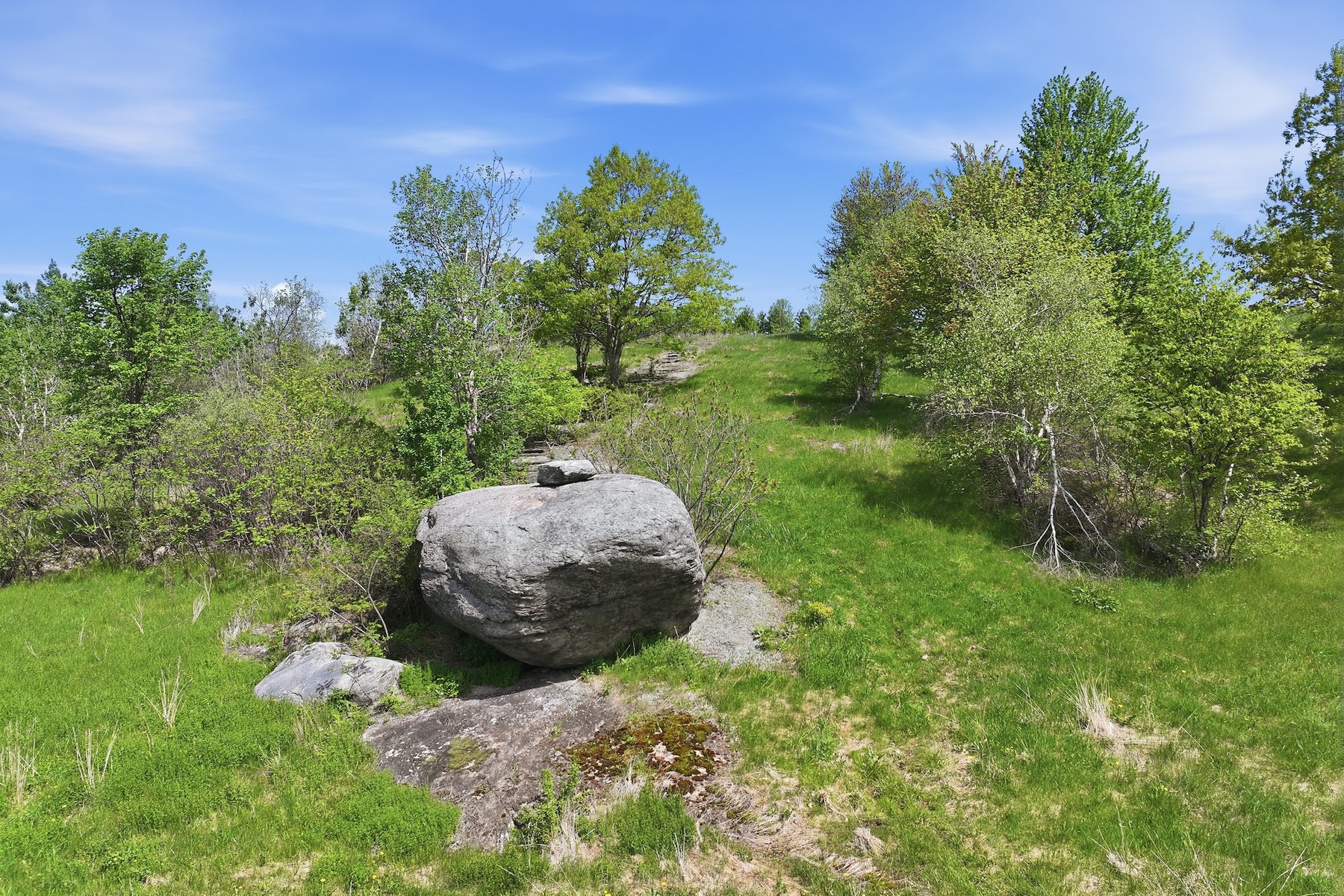  351 Ledgewood Drive - 物件實景