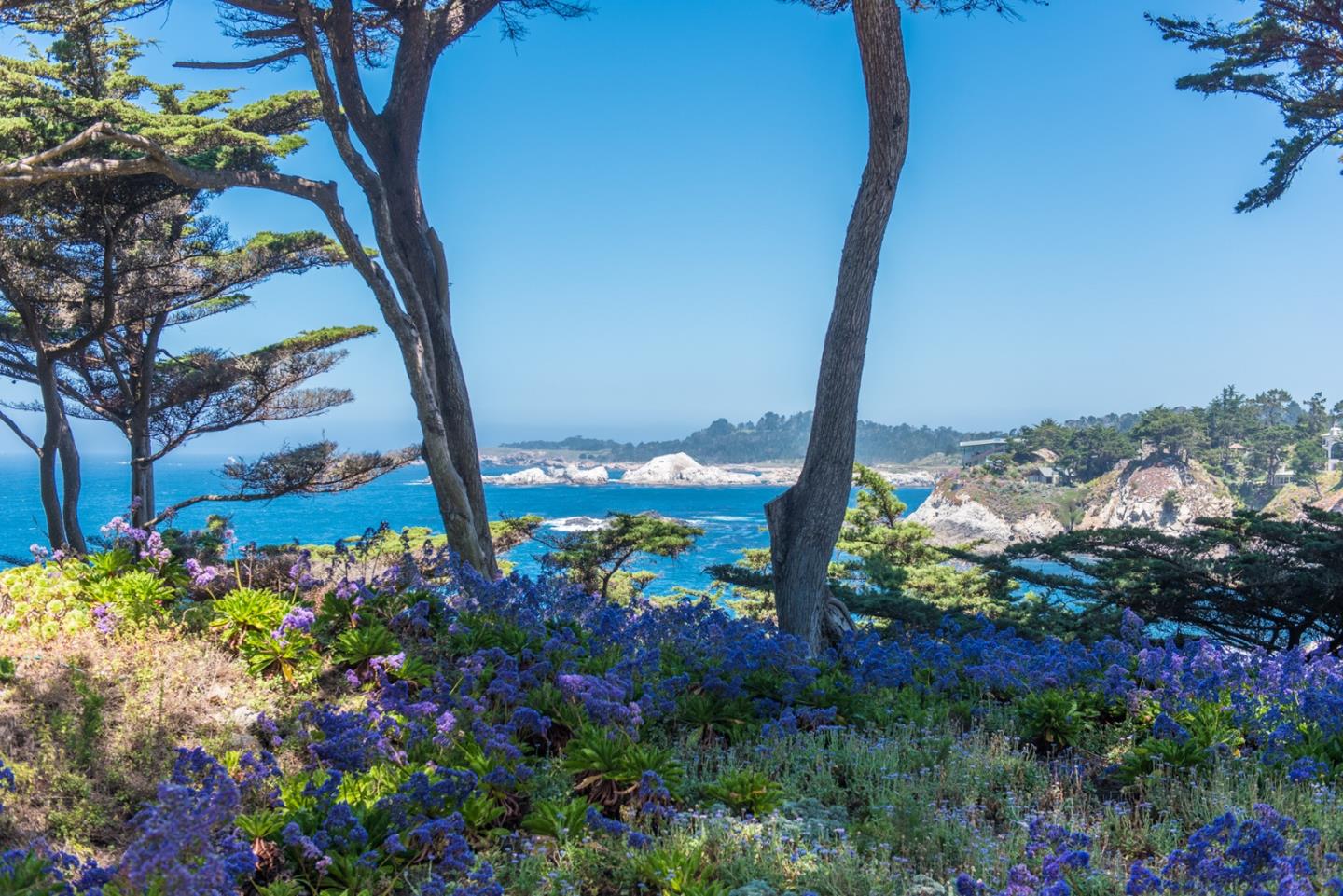 Carmel Highlands, California, 93923, United States, 13 Bedrooms Bedrooms, ,17 BathroomsBathrooms,Residential,For Sale,1917407