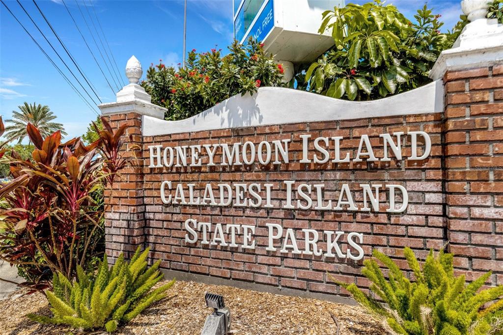 Palm Harbor, Florida, 34683, United States, 4 Bedrooms Bedrooms, ,3 BathroomsBathrooms,Residential,For Sale,1989112