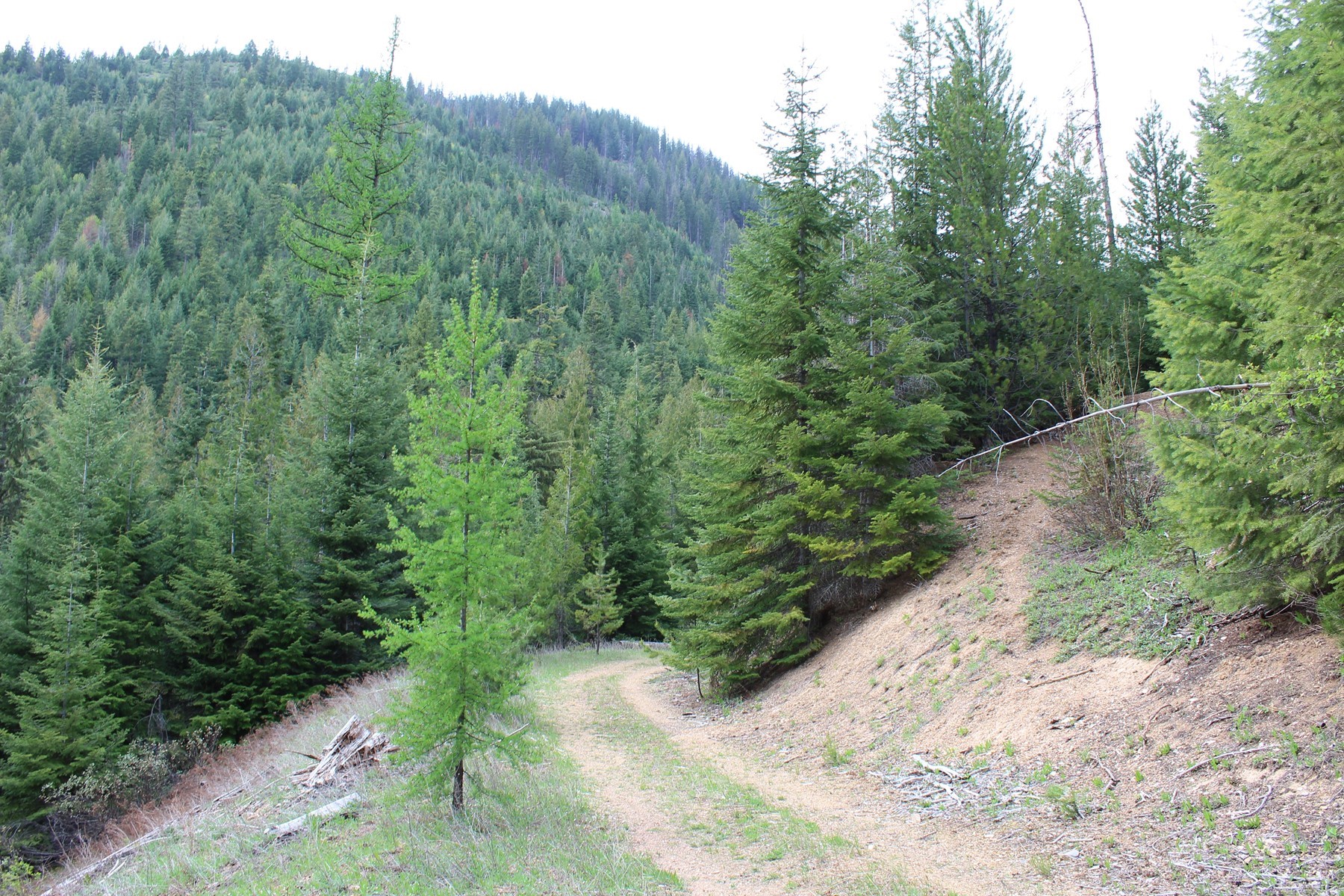  19a Daisy Gulch Road - 物件實景