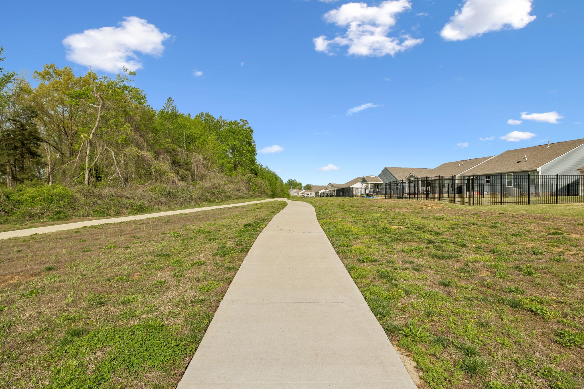  616 Streamview Dr, White House, TN, 37188 - 物件實景