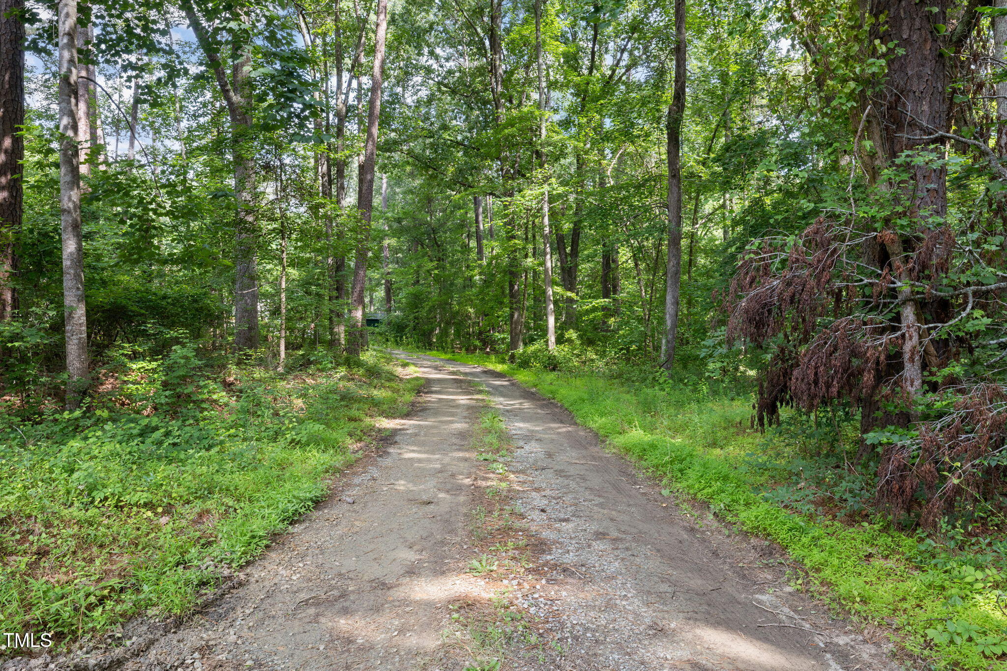 Durham, North Carolina, 27713, United States, ,Land,For Sale,1856864