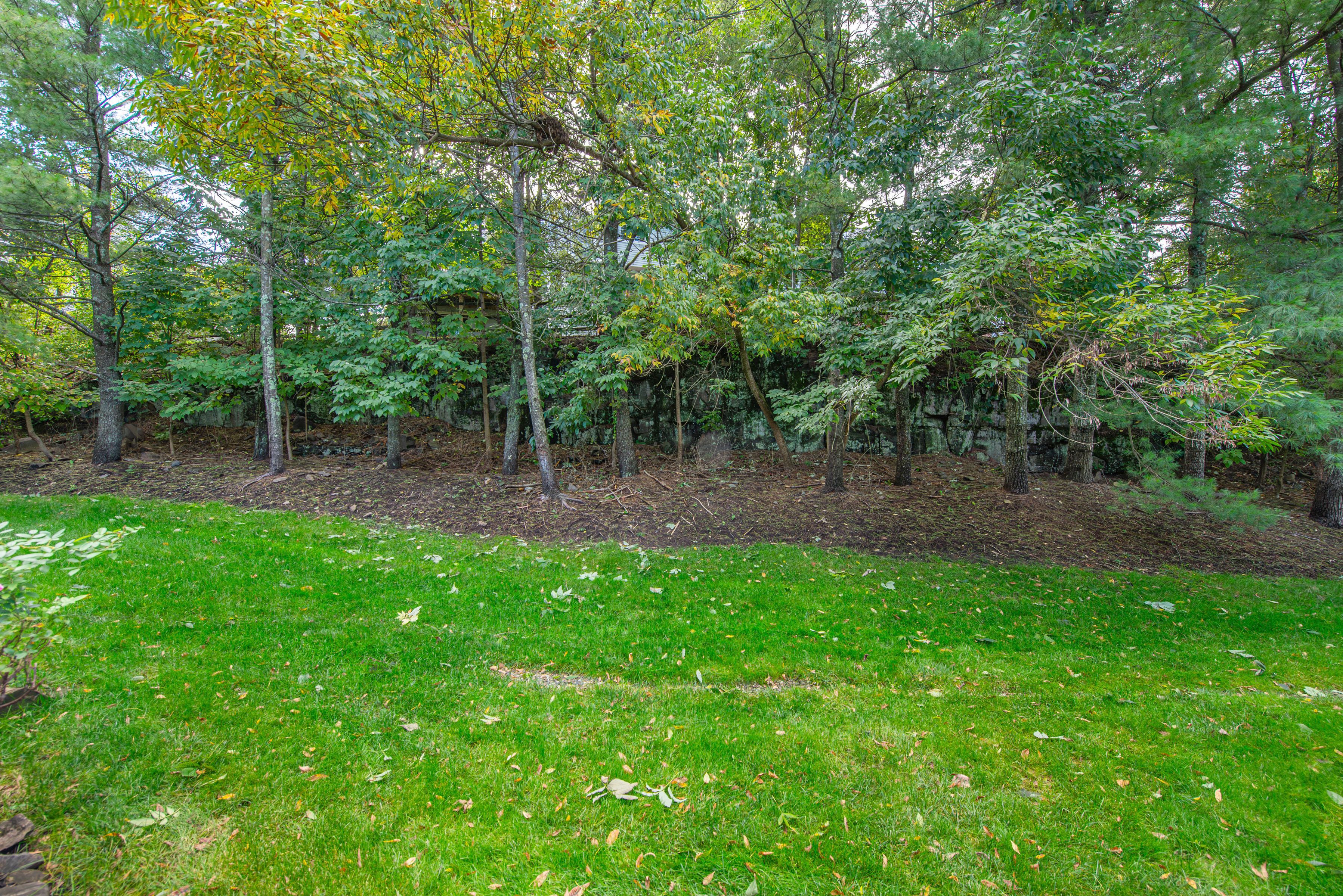  115 Ridge Drive, Montville, NJ 07045 - 物件實景