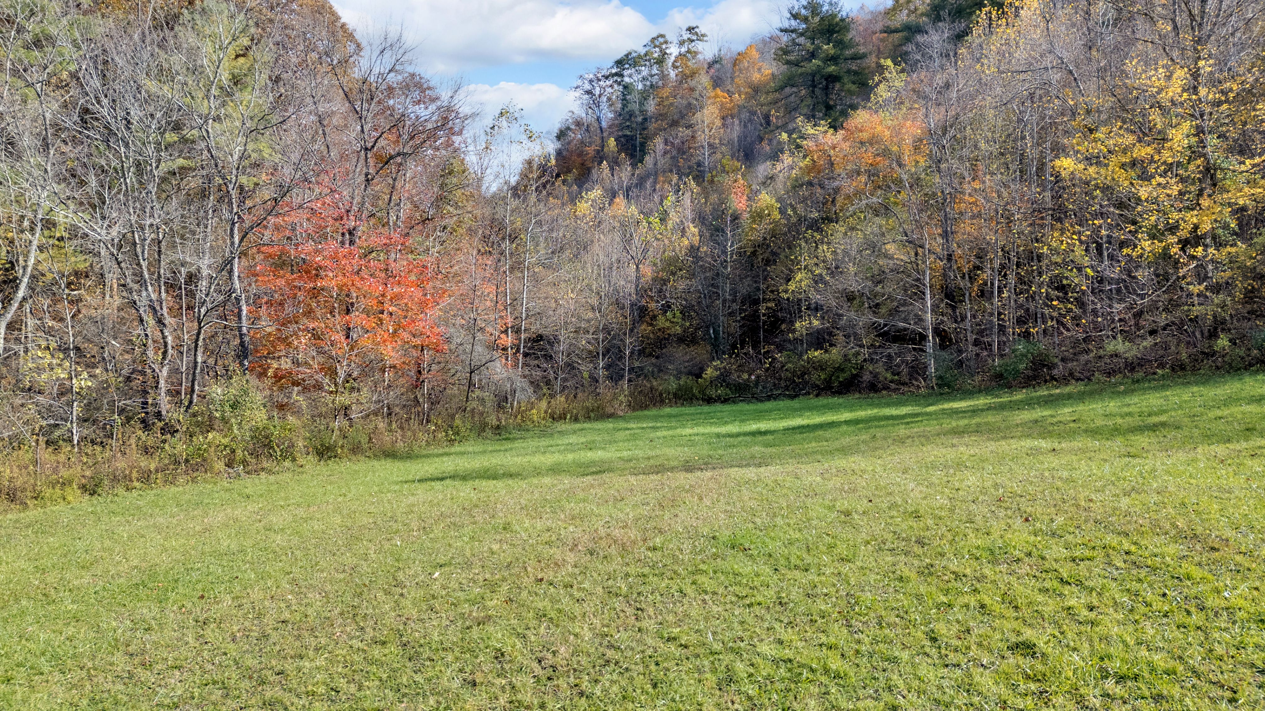  TBD Highway 91, Laurel Bloomery, TN, 37680 - 物件實景