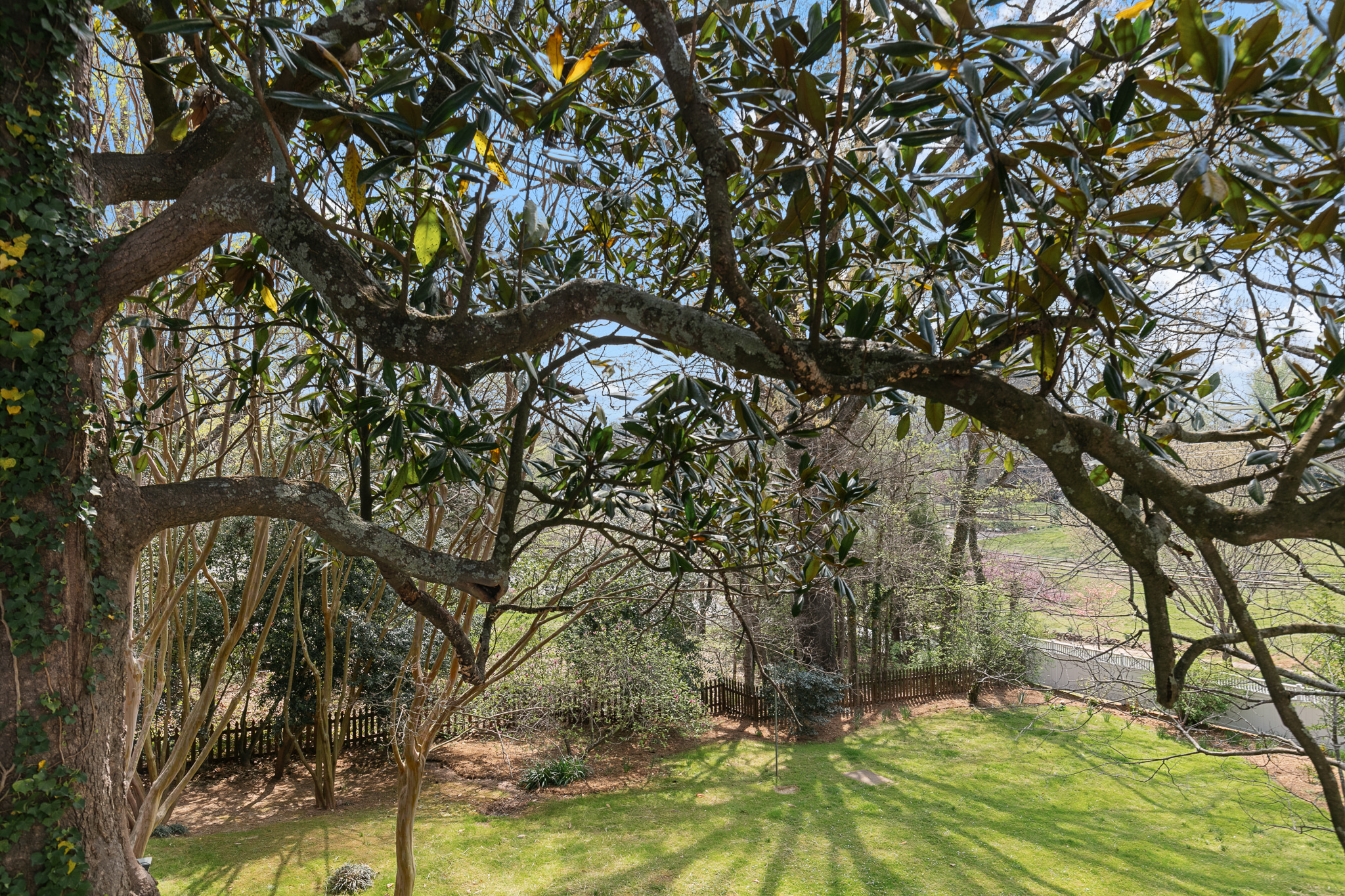 318 North Churton Street, Hillsborough, NC 27278 - 物件實景