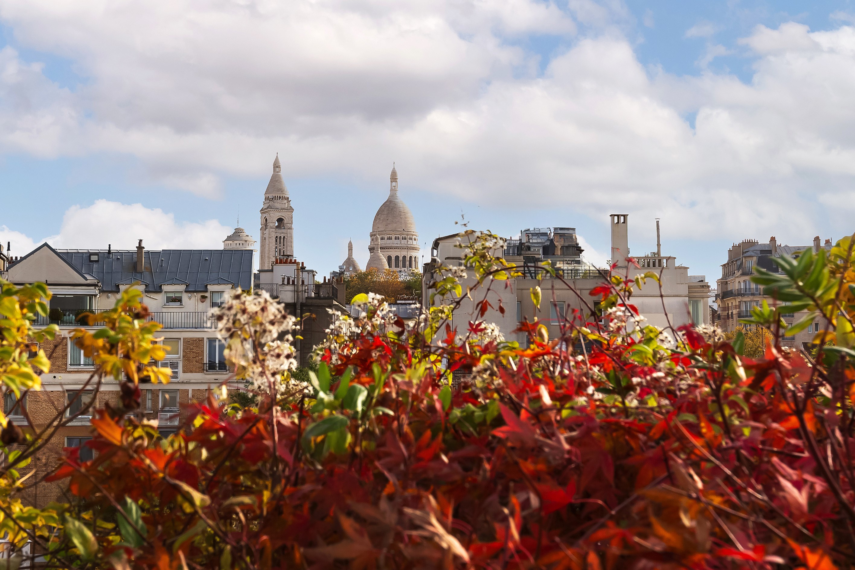  Oustanding penthouse in Montmartre with view on the monuments - 物件實景