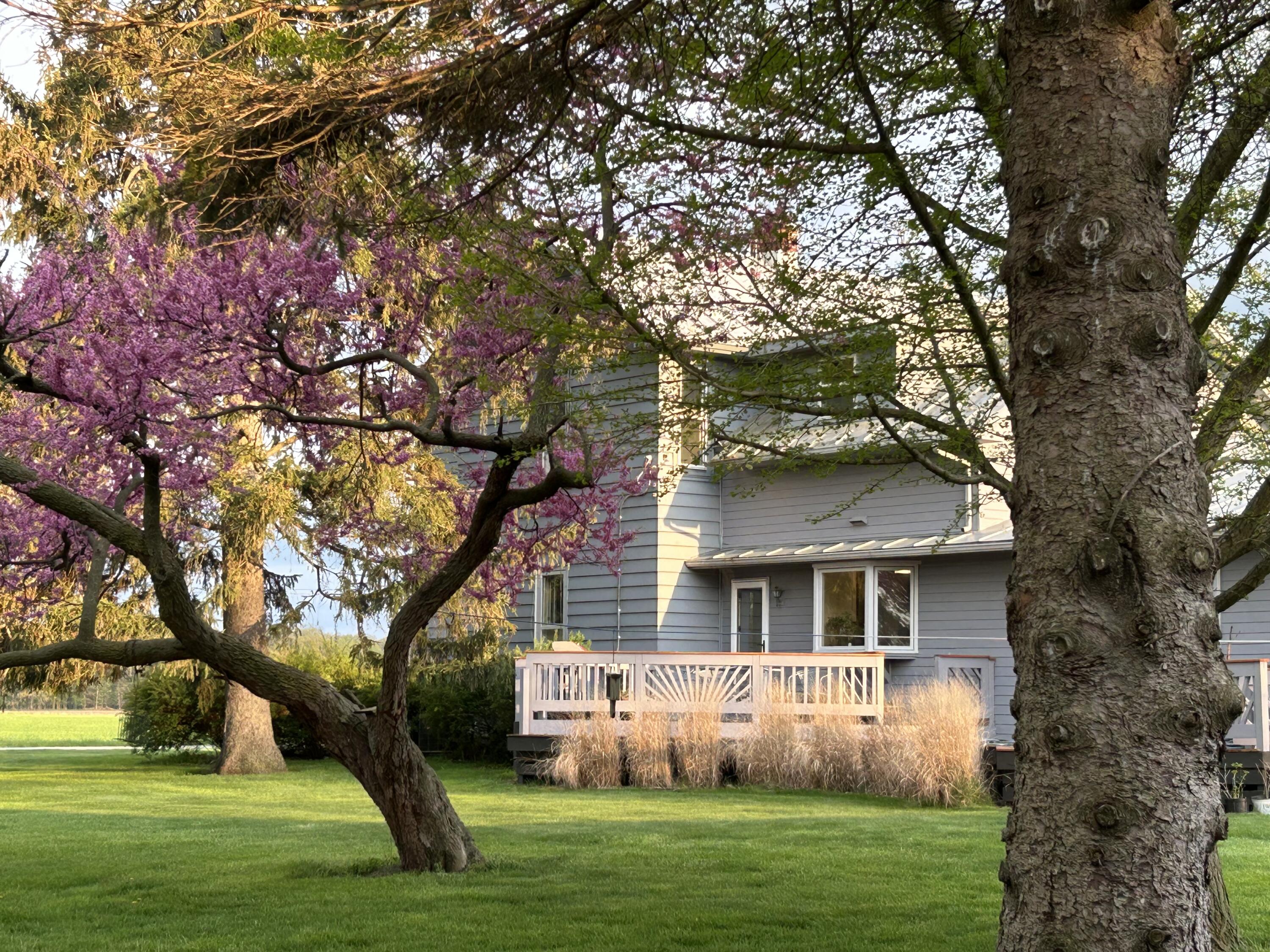 Ida, Michigan, 48140, United States, 4 Bedrooms Bedrooms, ,3 BathroomsBathrooms,Residential,For Sale,1973909