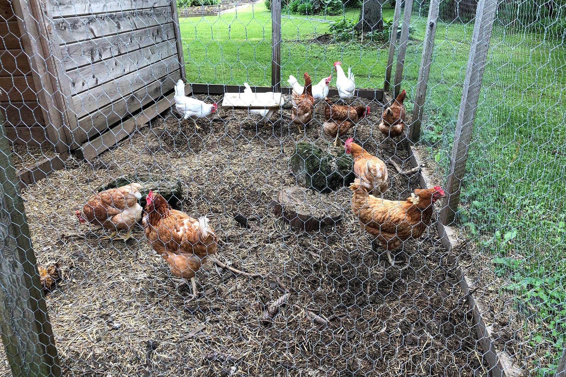  Saint-Jacques, Lanaudière - 物件實景