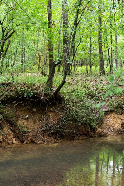Rome, Georgia, 30165, United States, ,Land,For Sale,1892024