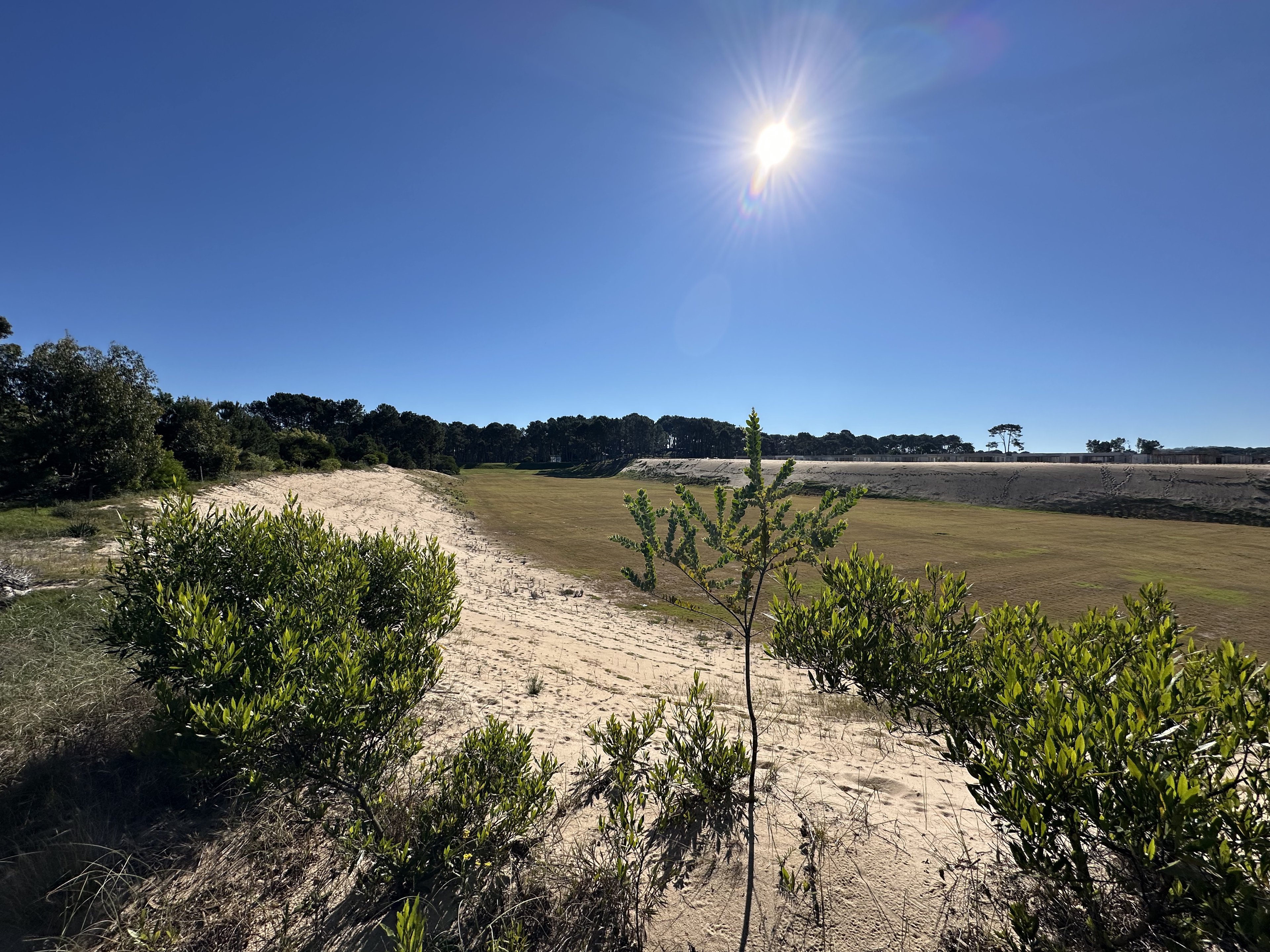  Excellent lot in Bosque de Punta Ballena - 物件實景