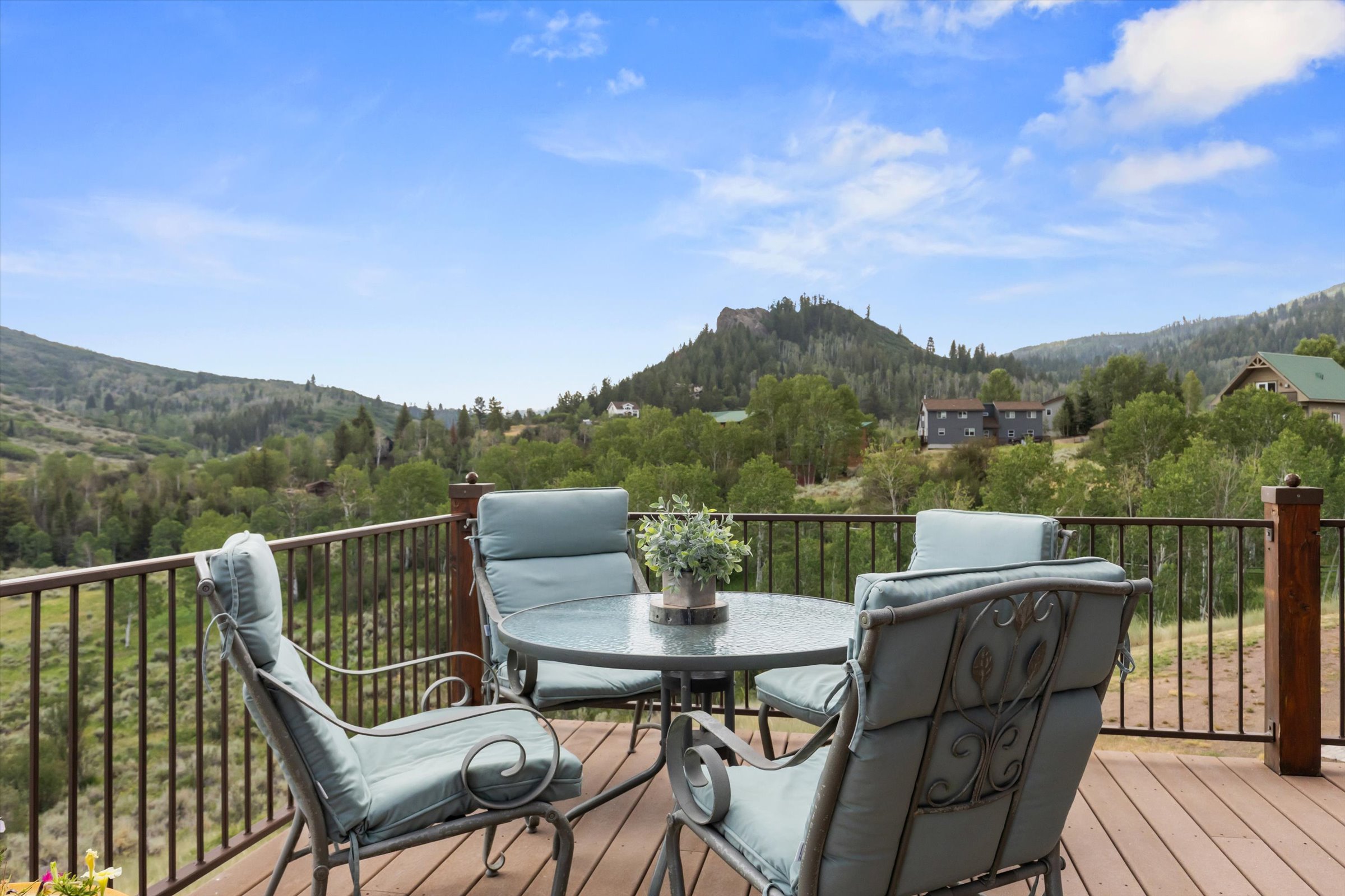  23020 Lynx Basin Lane, Oak Creek, CO 80467 - 物件實景