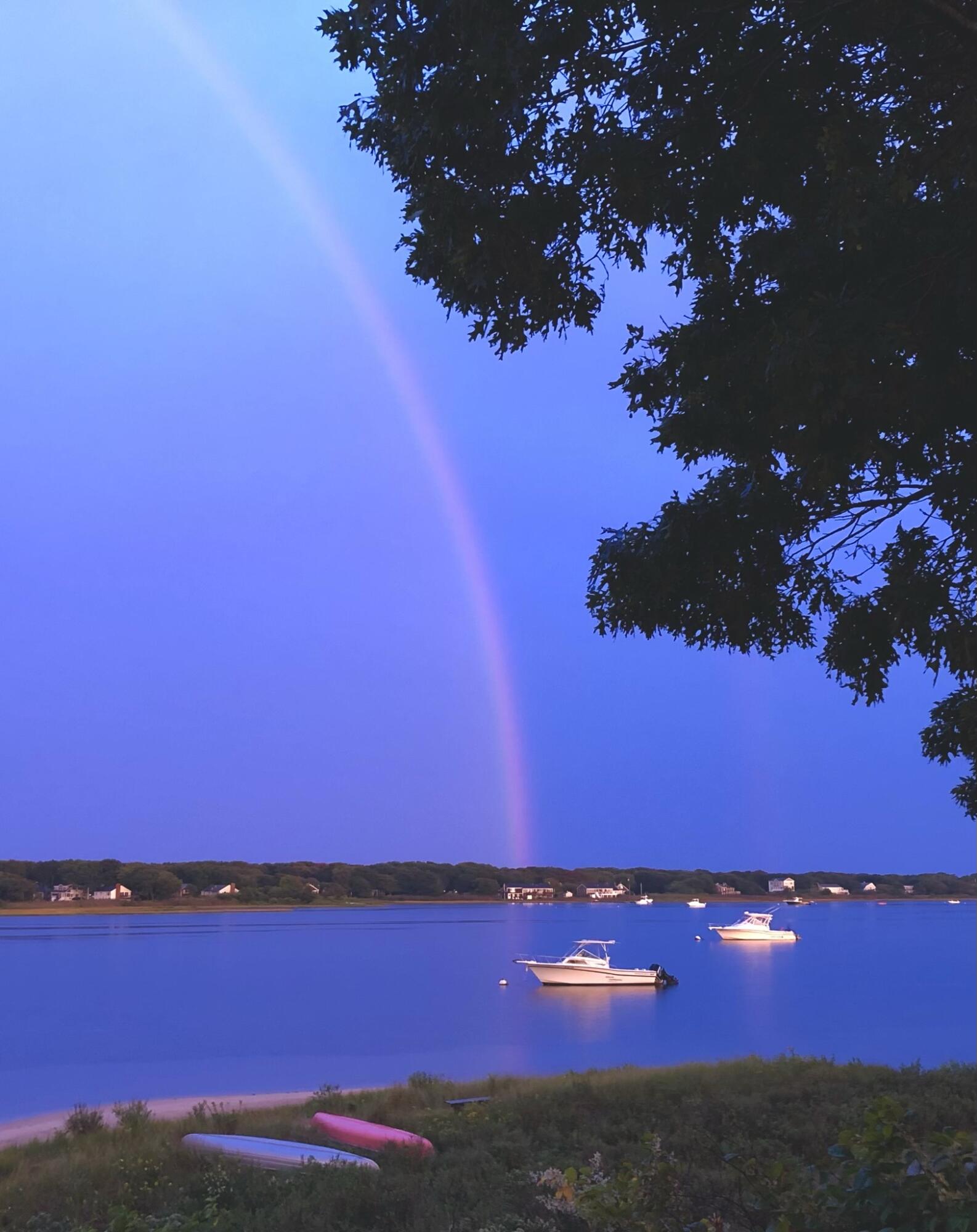  59 Cedar Street - 物件實景