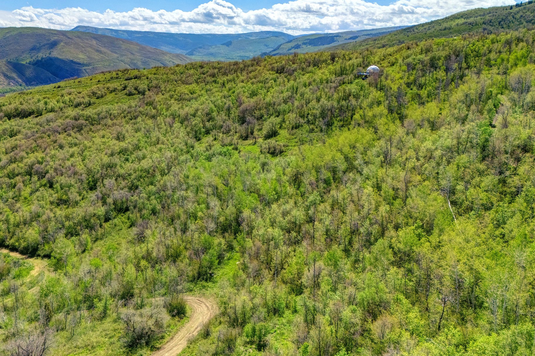  Wooded 5 acres No HOA - 物件實景