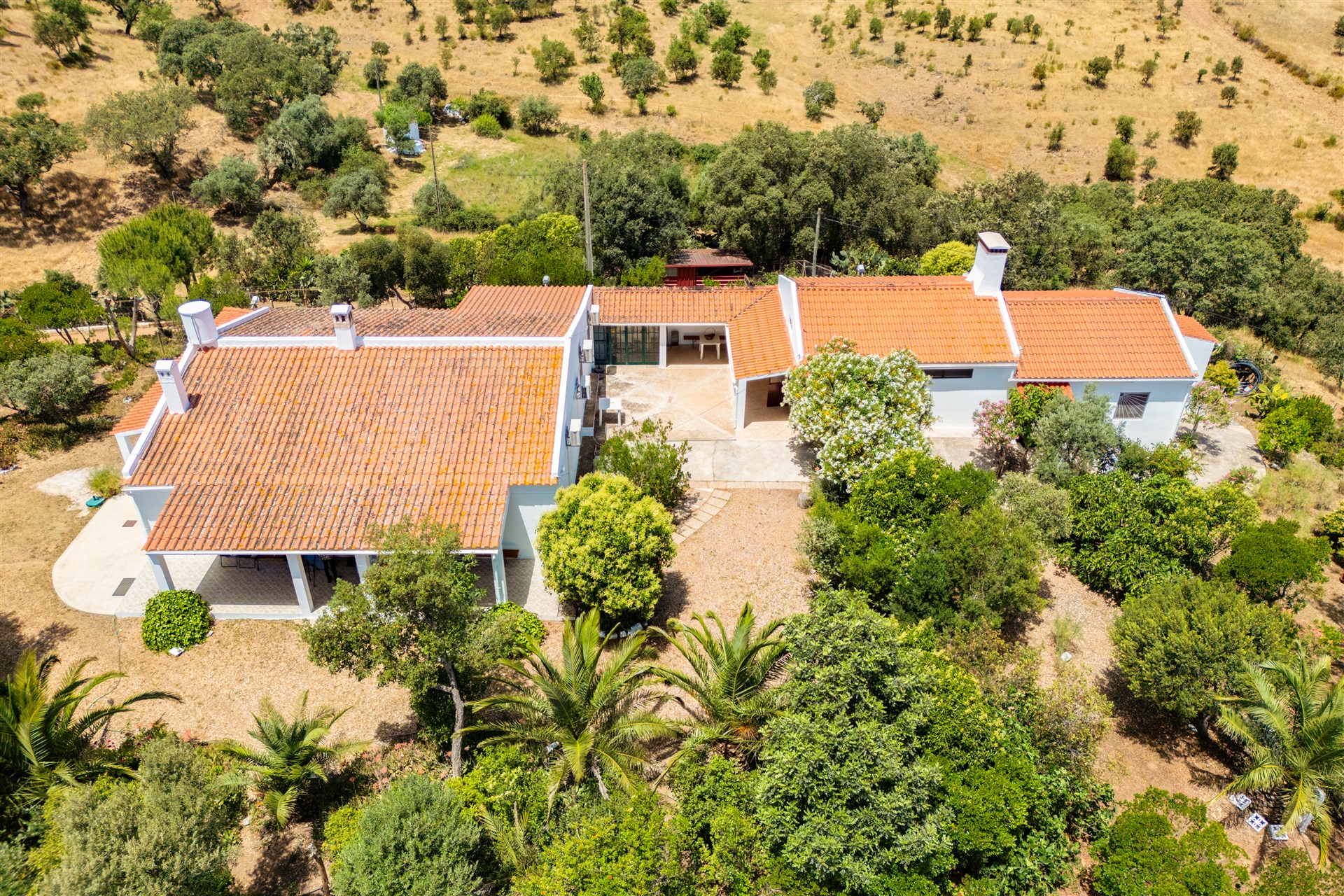  Farm, 4 bedrooms, for Sale - 物件實景