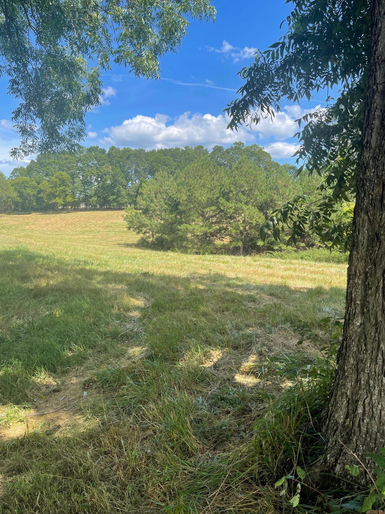 Cowpens, South Carolina, 29330, United States, 1 Bedroom Bedrooms, ,1 BathroomBathrooms,Residential,For Sale,1980416